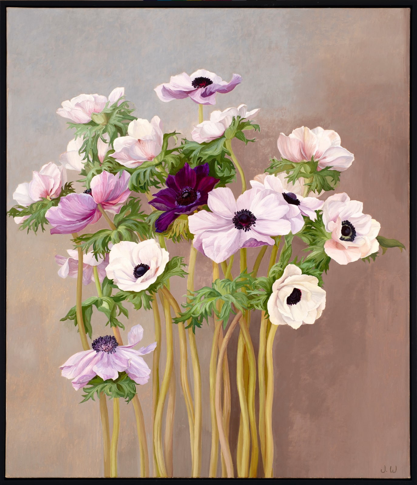 Jane Wormell, Anenomes 1