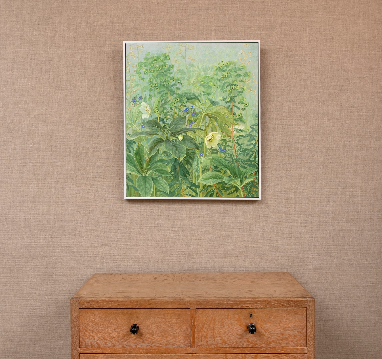 Jane Wormell, Hellebores, Euphorbia & Alkanets