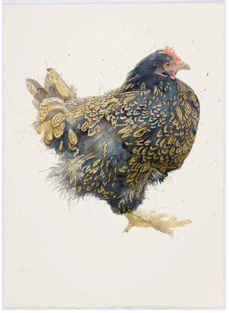 Roland Corbin, Blue Barnevelder