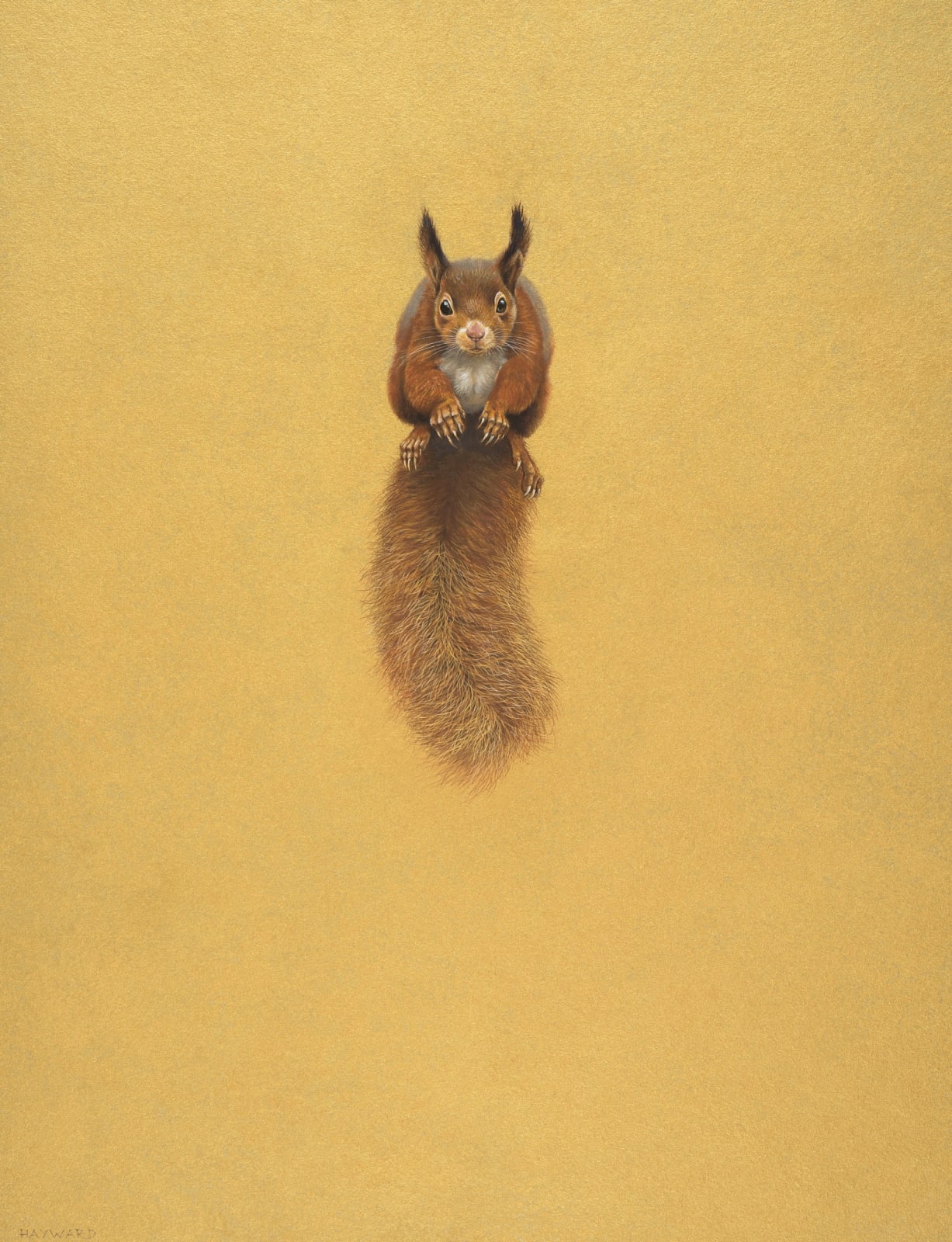 Tim Hayward, The Leap – Gold