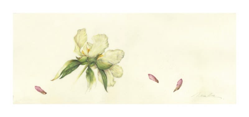 Kate Nessler, Pale Yellow Peony and Maple