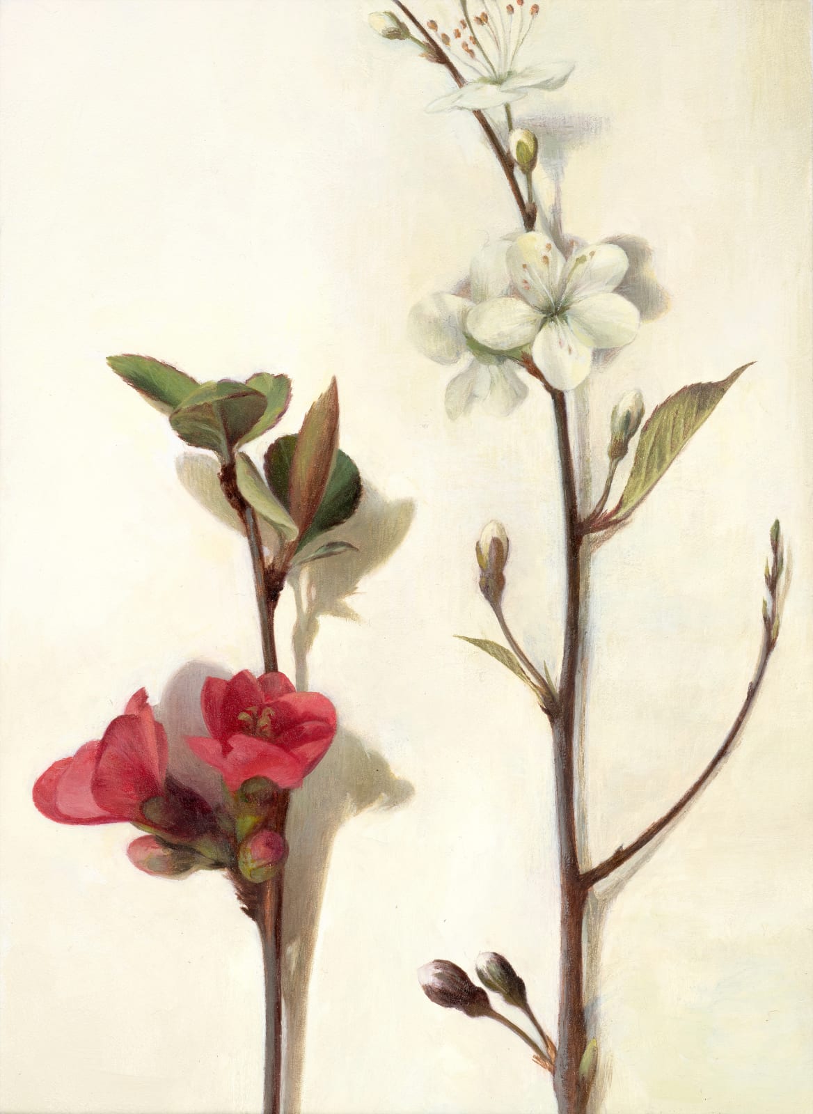 Susan Angharad Williams, A Relationship of Stems No.1, 2022