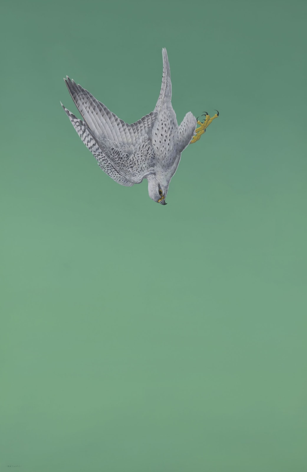 Tim Hayward, Green Swoop (Gyrfalcon)