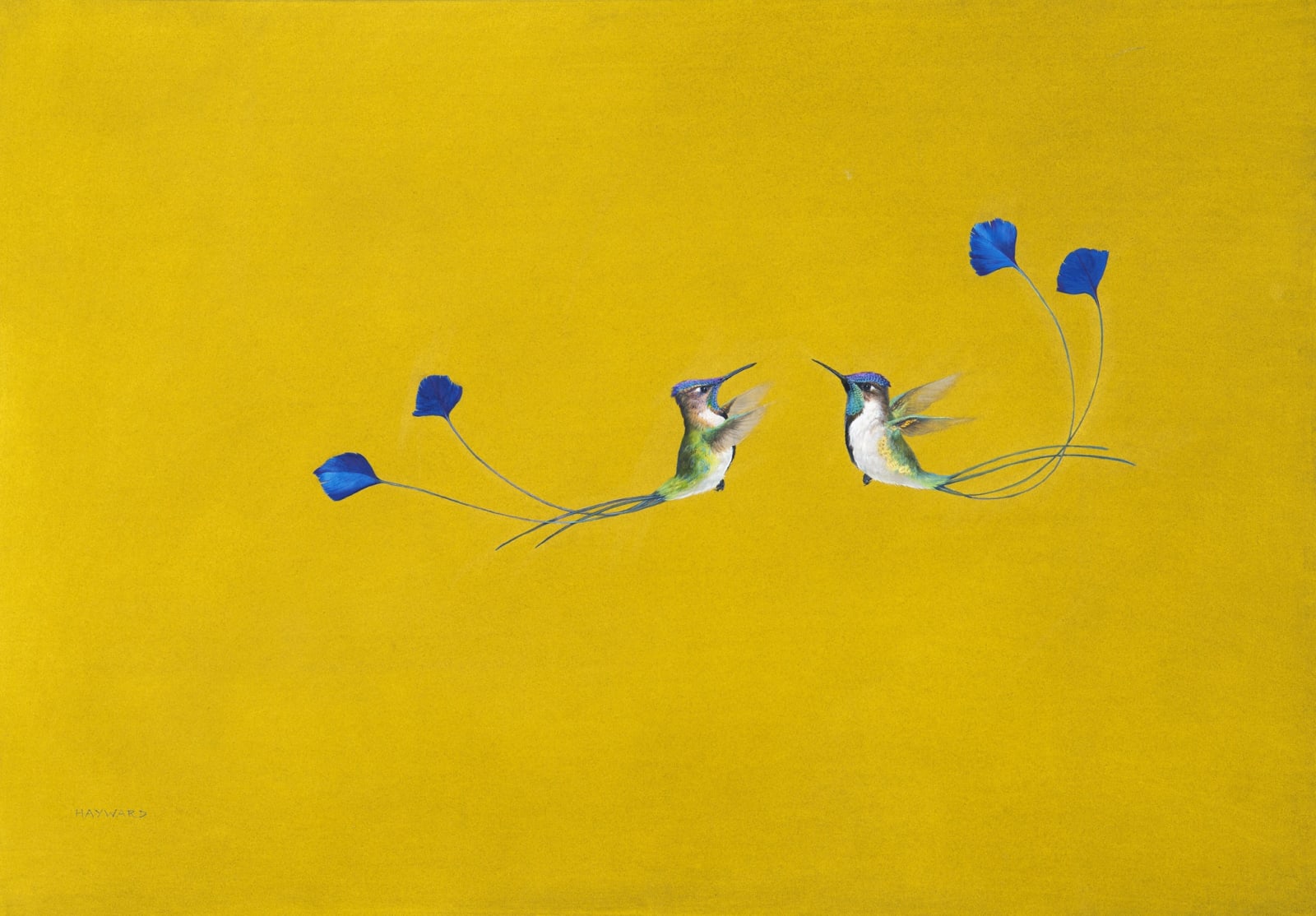 Tim Hayward, The Display - Yellow