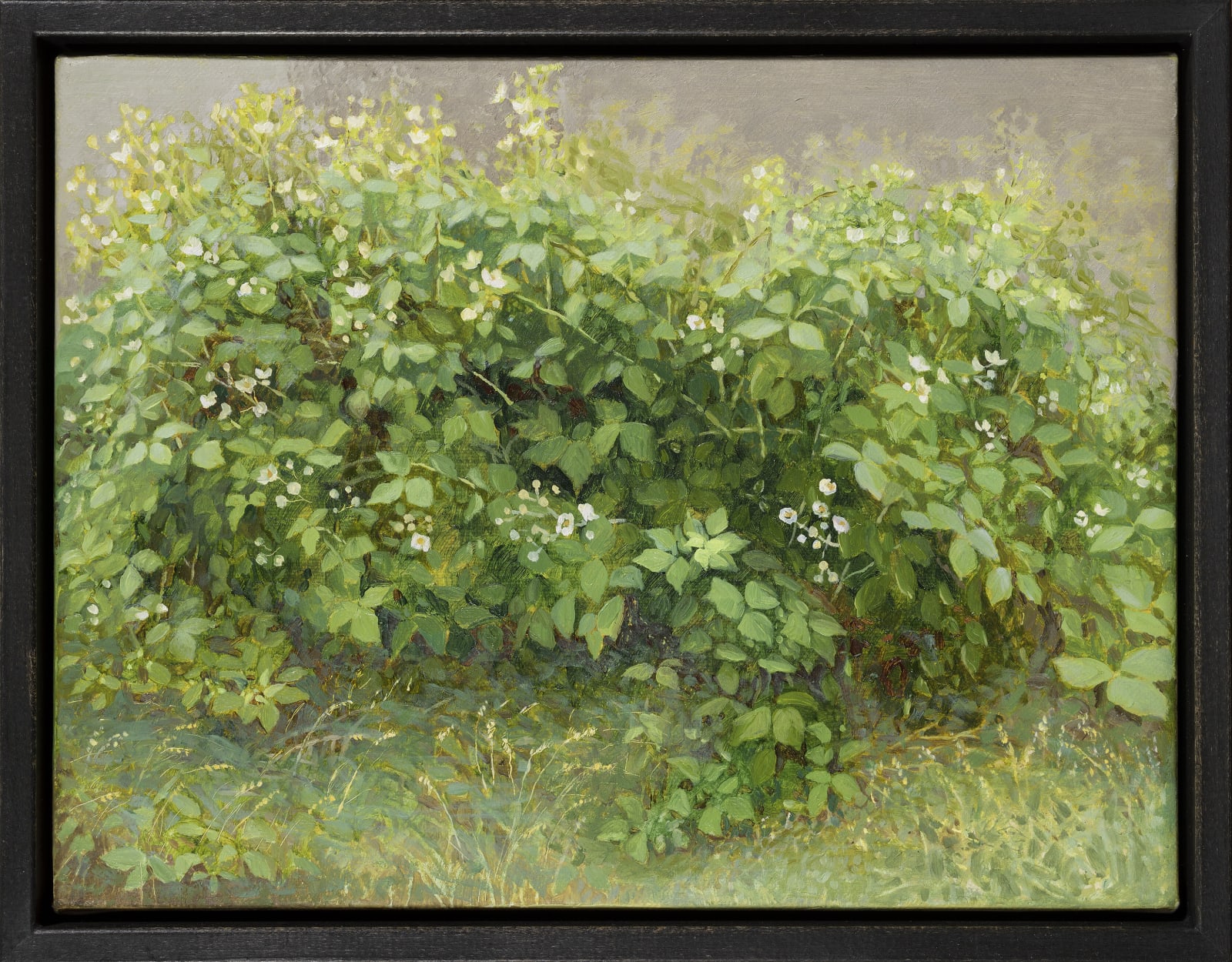 Jane Wormell, Flowering Brambles, 2020
