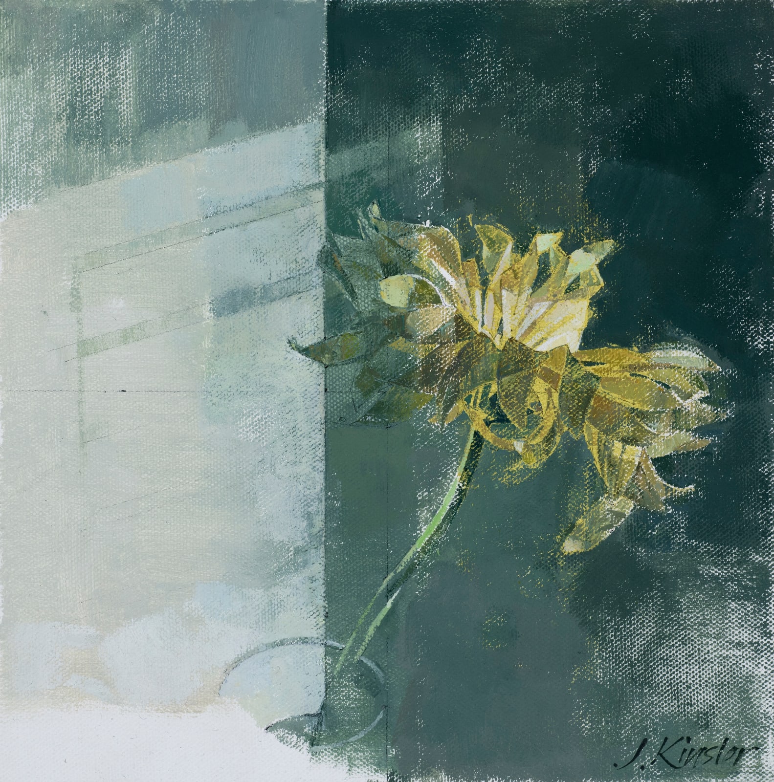 Jeannie Kinsler, Daisy (gerbera) study ii, 2023