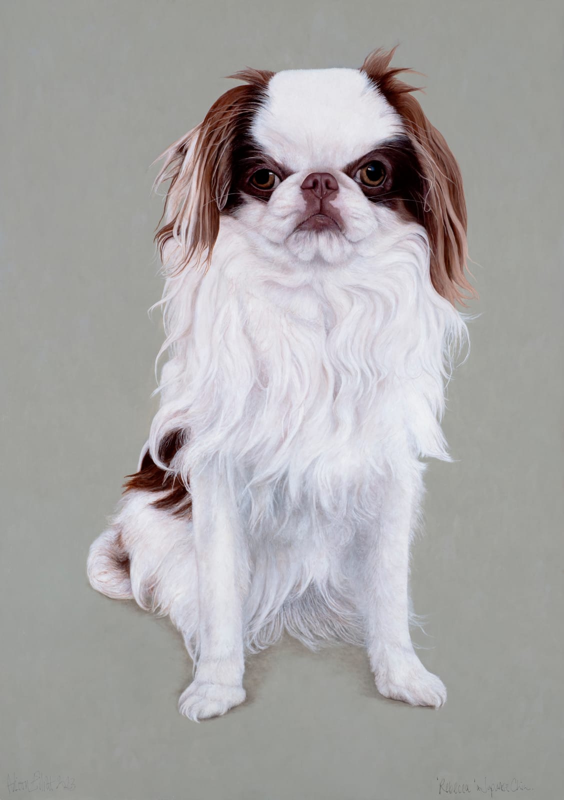 Alison Elliott, ‘Rebecca’ a Japanese Chin, 2023