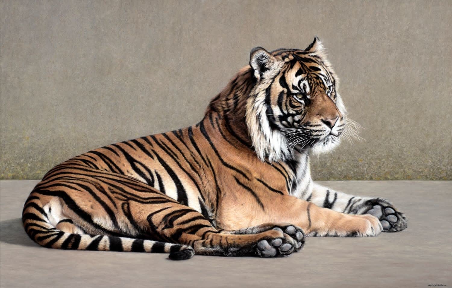 Gary Stinton, Recumbent Sumatran Tiger, 2024