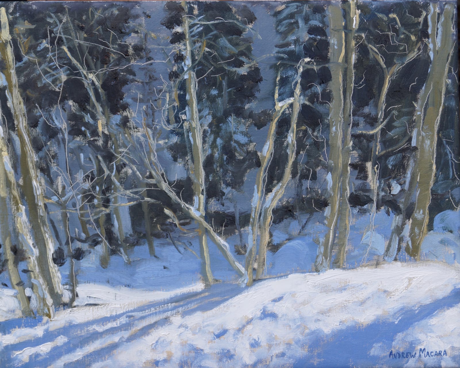Andrew Macara, The Forest, La Clusaz, France