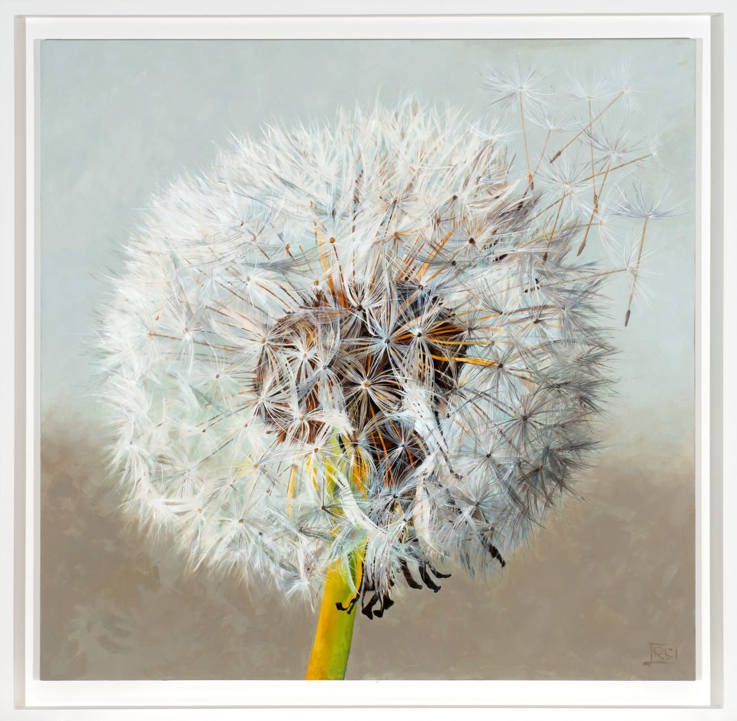 Rosie Sanders, Genesis, 2025