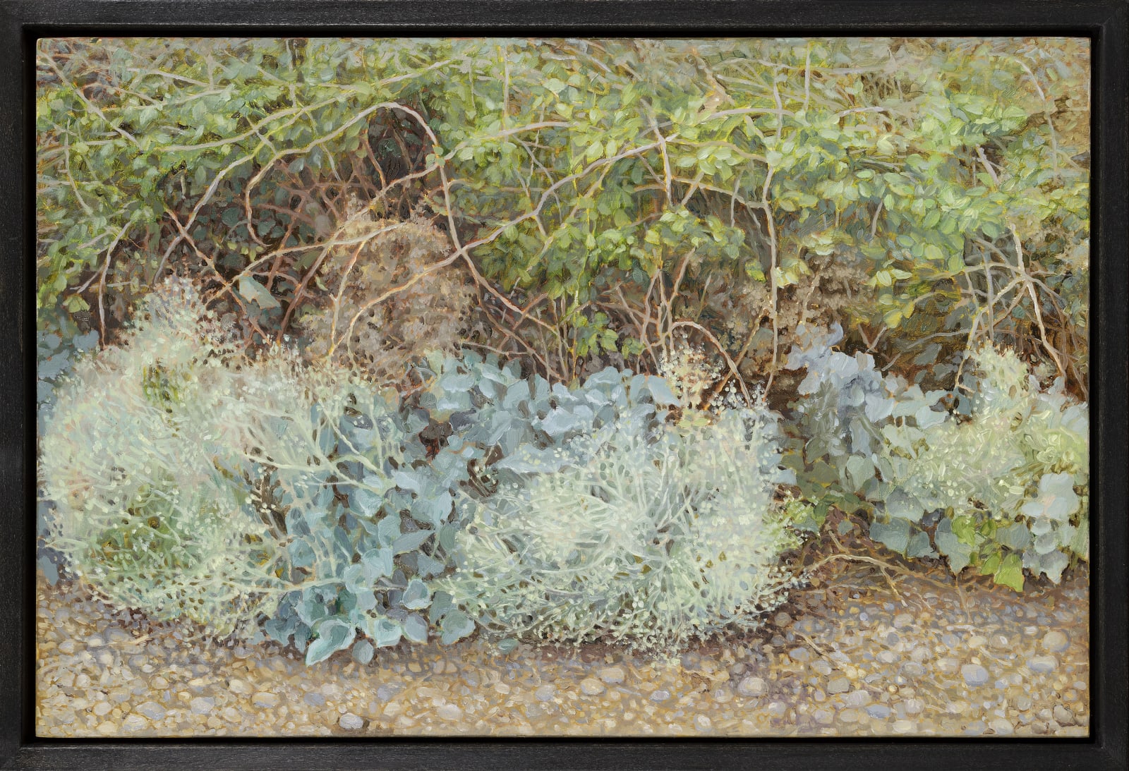 Jane Wormell, Sea Kale on the Shingle, 2020