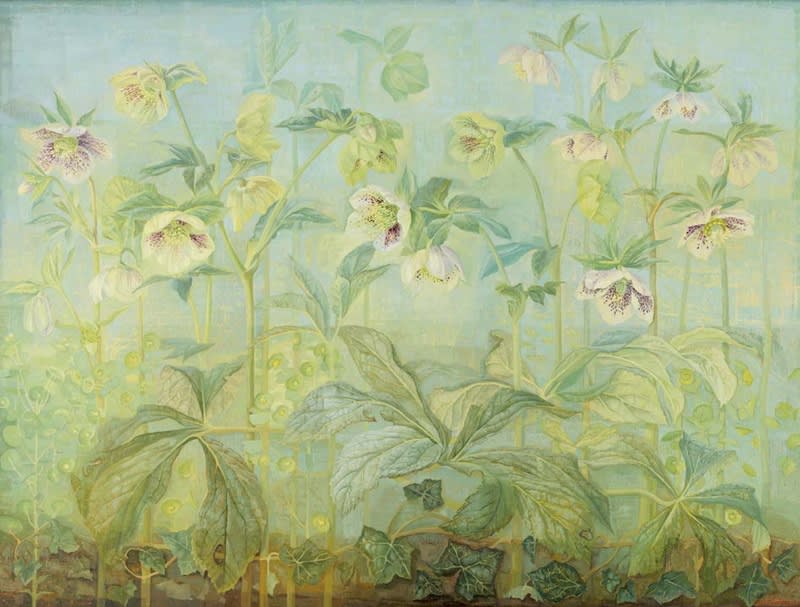 Jane Wormell, Hellebores Euphorbia and Ivy