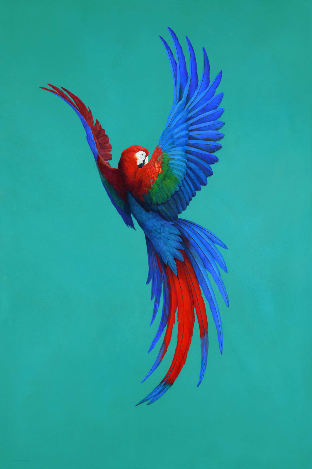 Tim Hayward, Macaw-Harlequin, 2022
