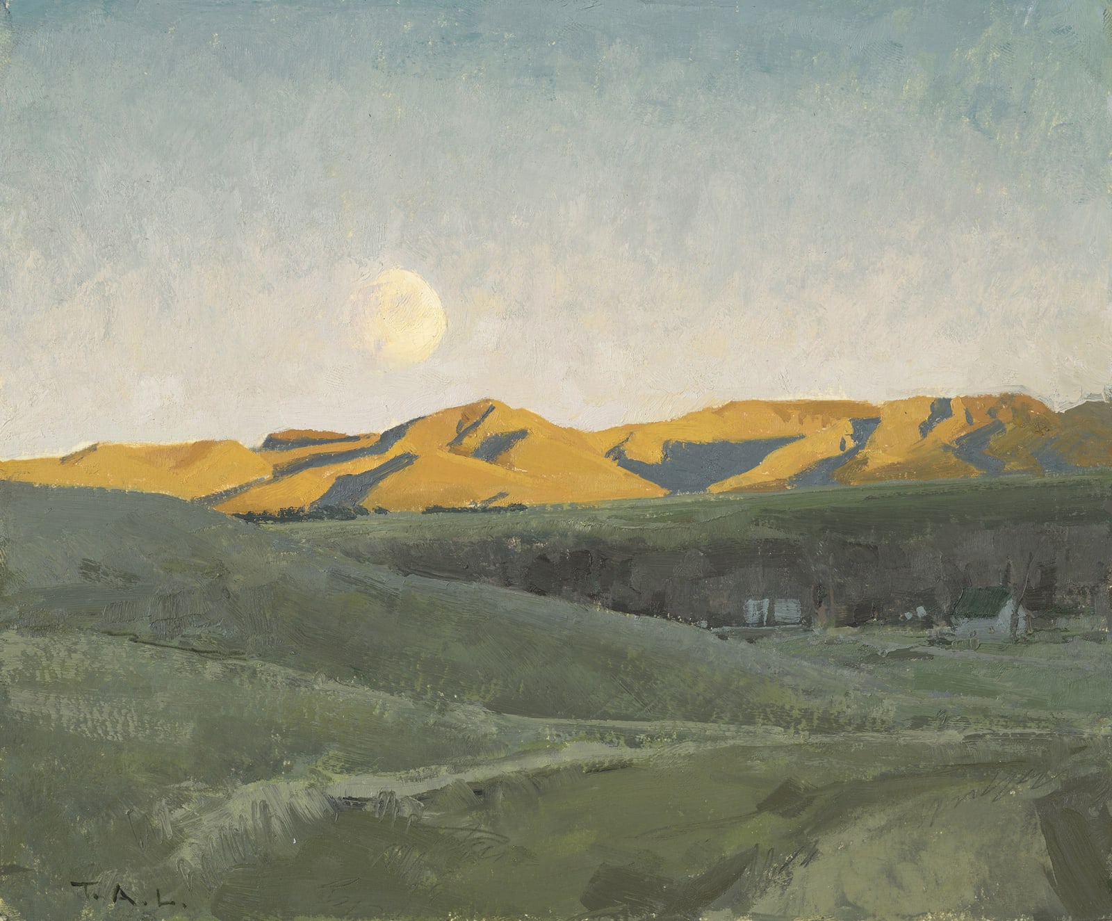 T. Allen Lawson, The Pale Suitor