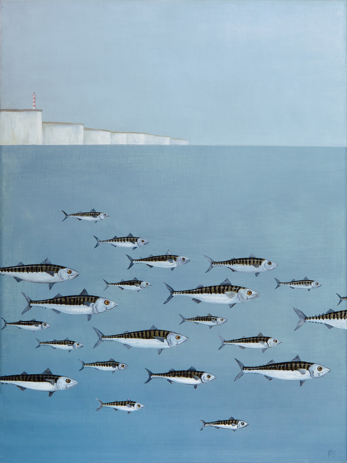 Rebecca Campbell, A Shoal of Mackerel