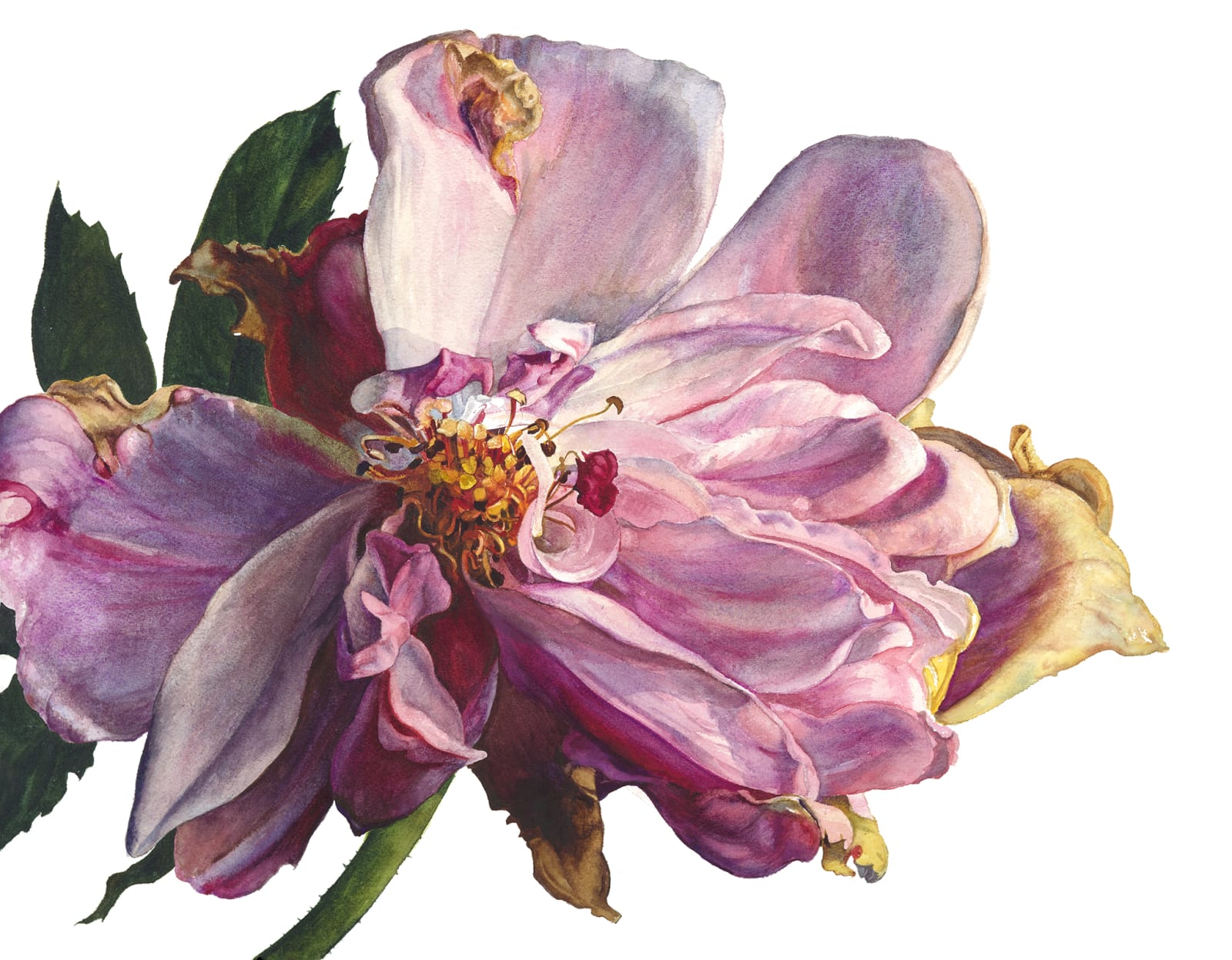 Rosie Sanders, A sunset touch