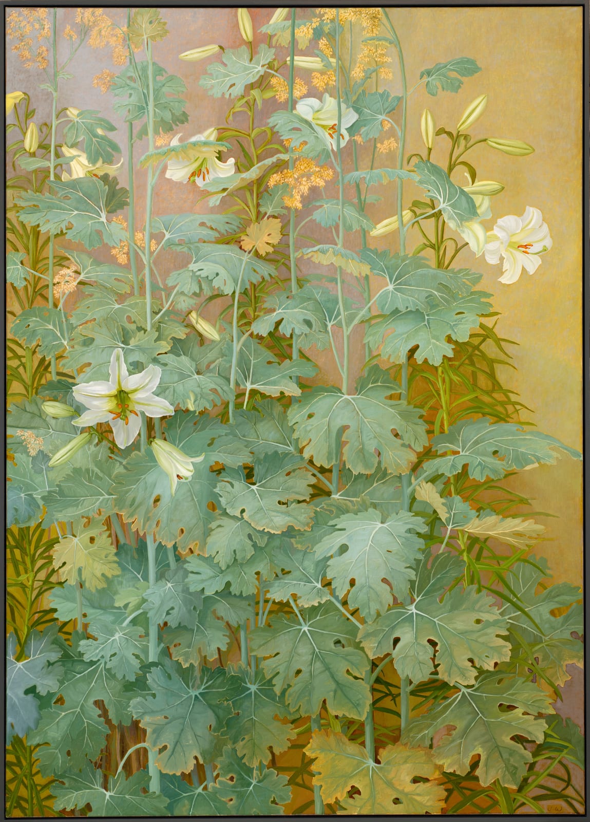 Jane Wormell, Lillies & Macleaya