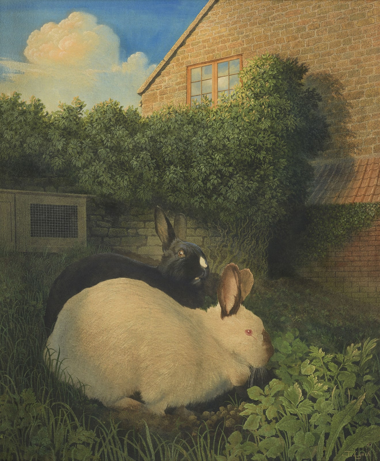 James Lynch, Rabbits, Cutterne Mill