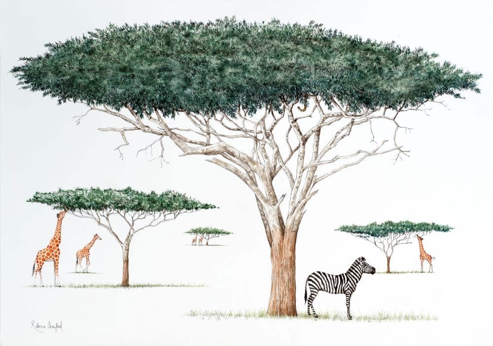 Rebecca Campbell, Acacia Ambush…, 2025