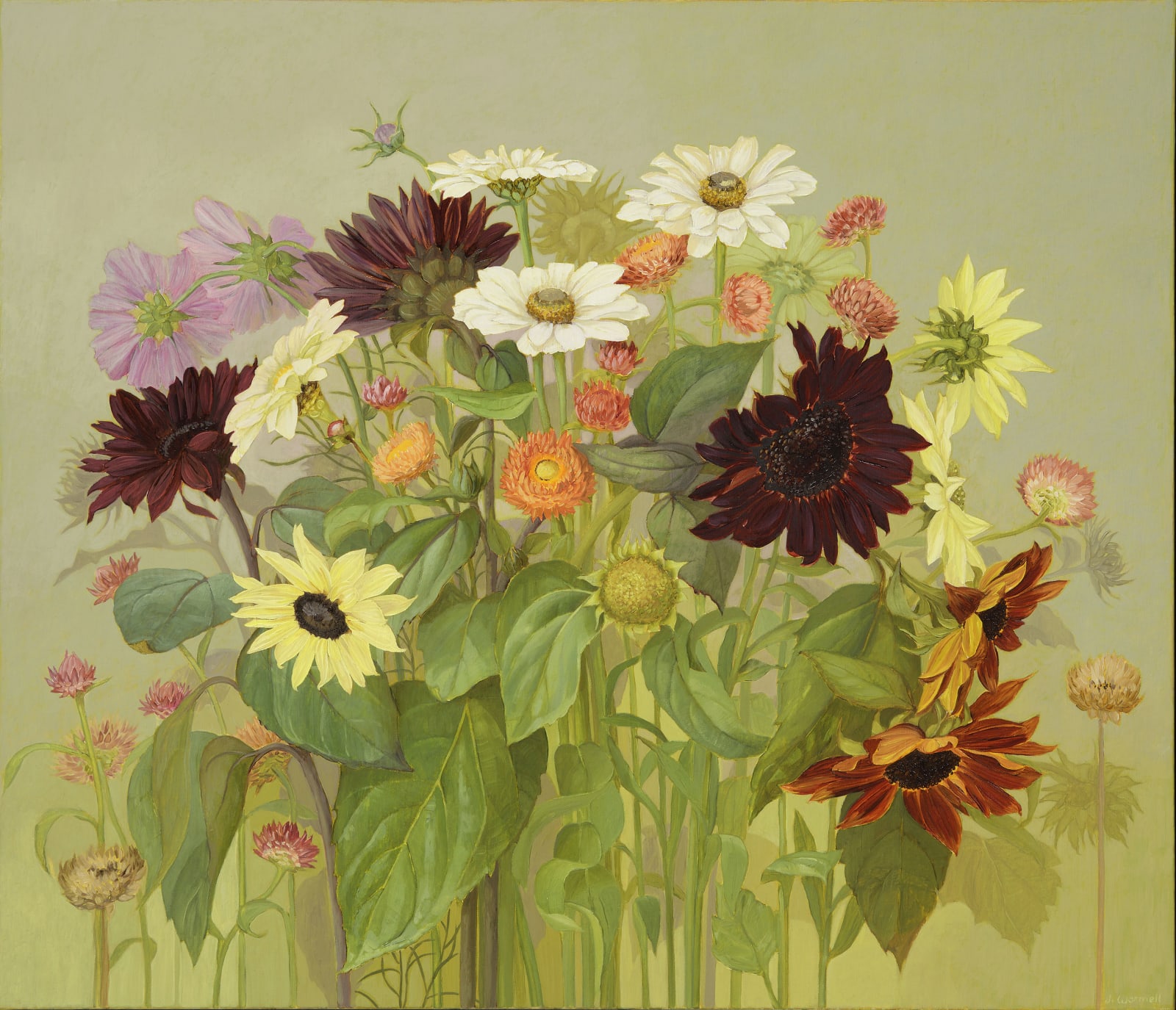 Jane Wormell, Late Summer Flowers, 2020