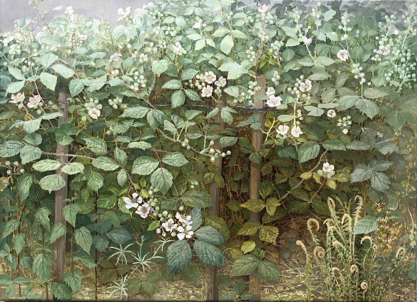 Jane Wormell, Spring Hedgerow