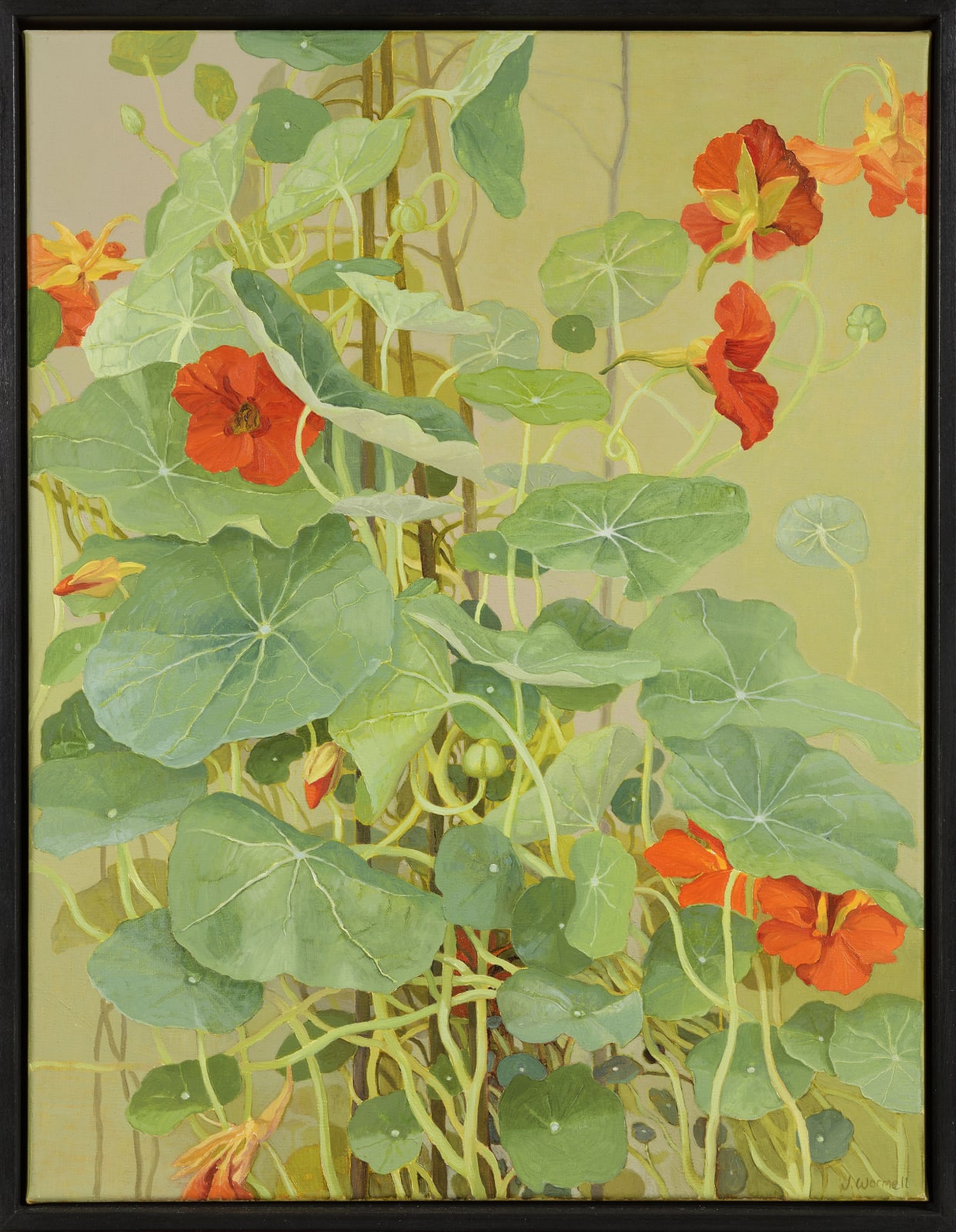 Jane Wormell, Nasturtiums, 2020