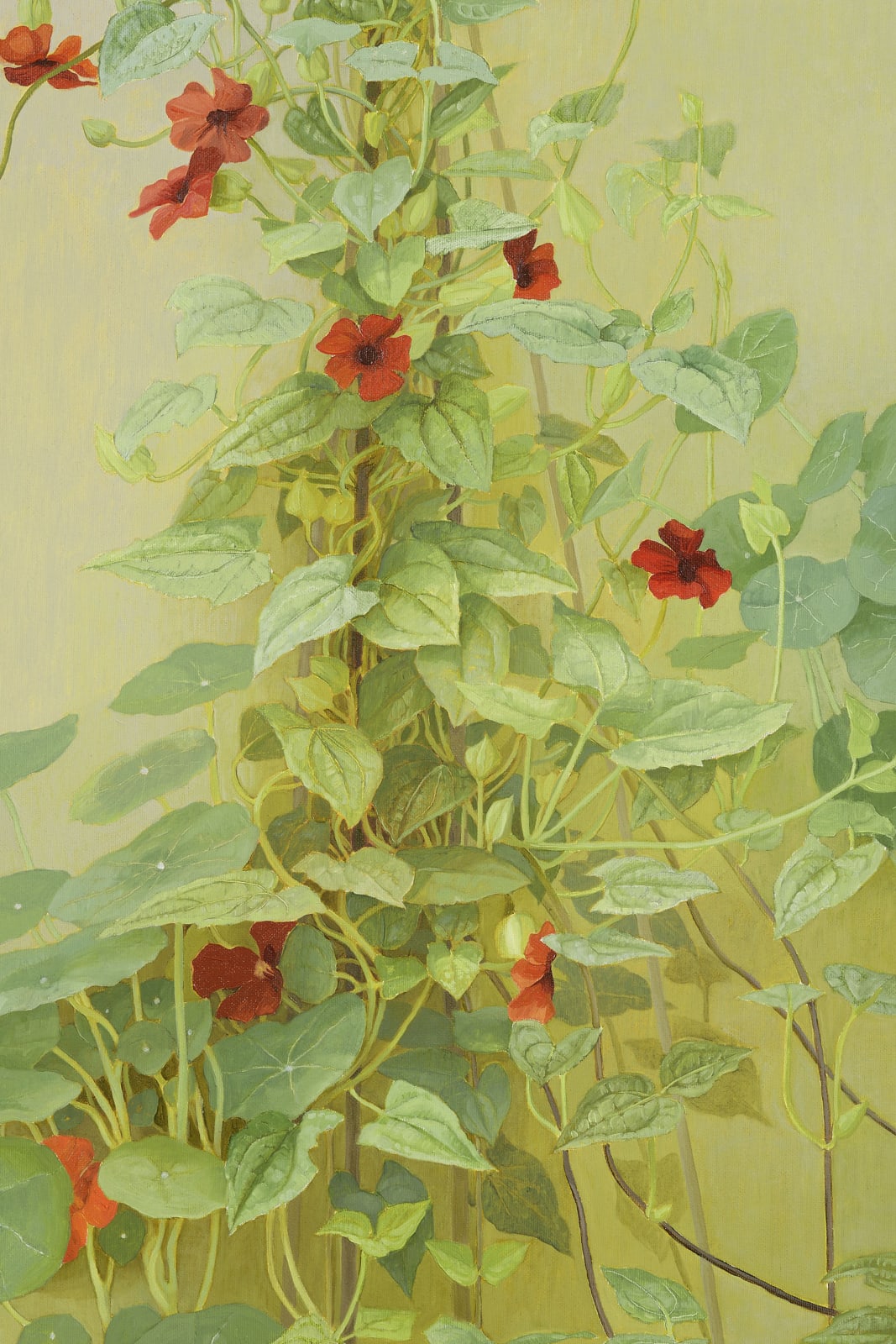 Jane Wormell, Black eyed Susan (Thunbergia) and Nasturtium Leaves, 2020