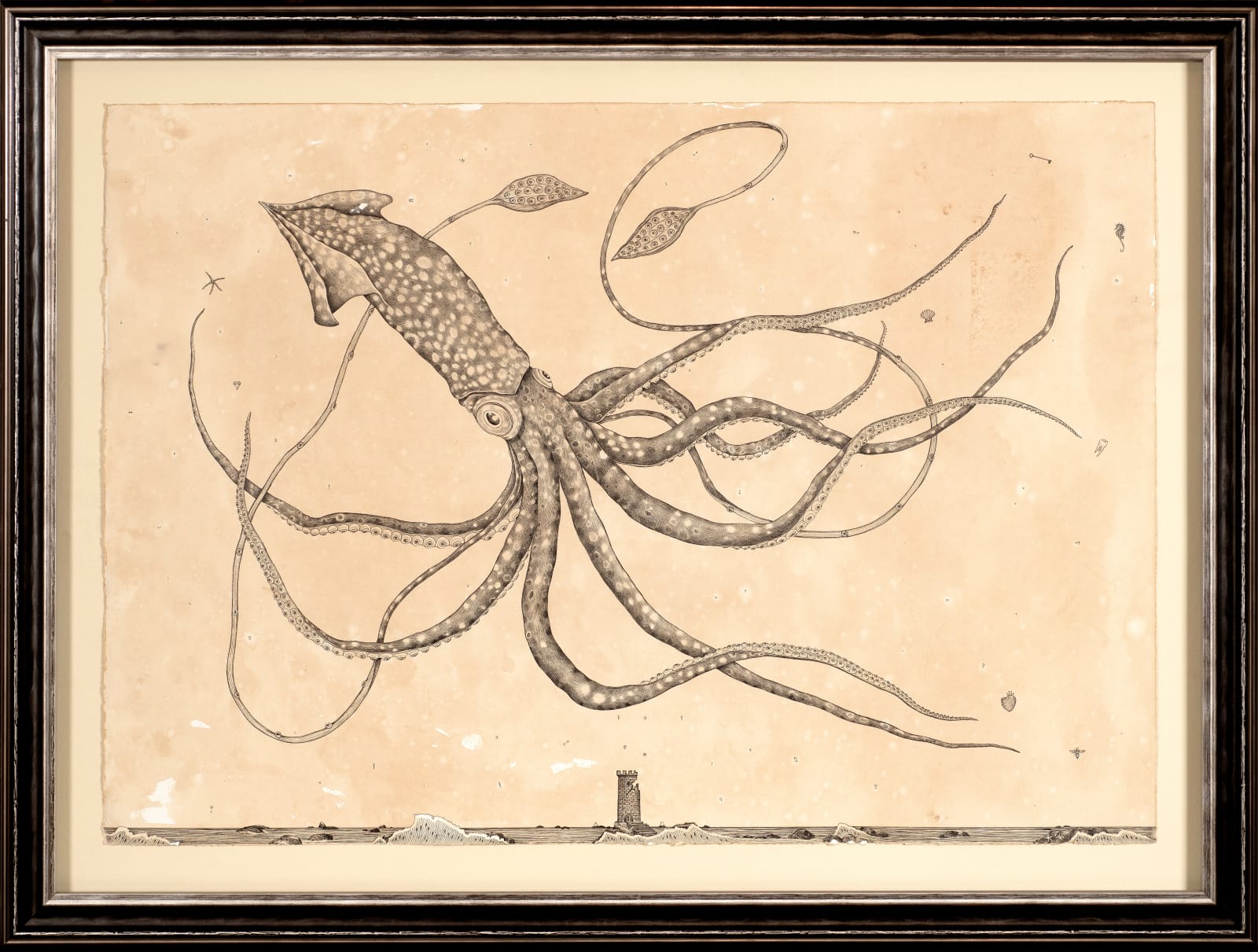 Andrea Collesano, GURGES AQUAE (squid), 2022