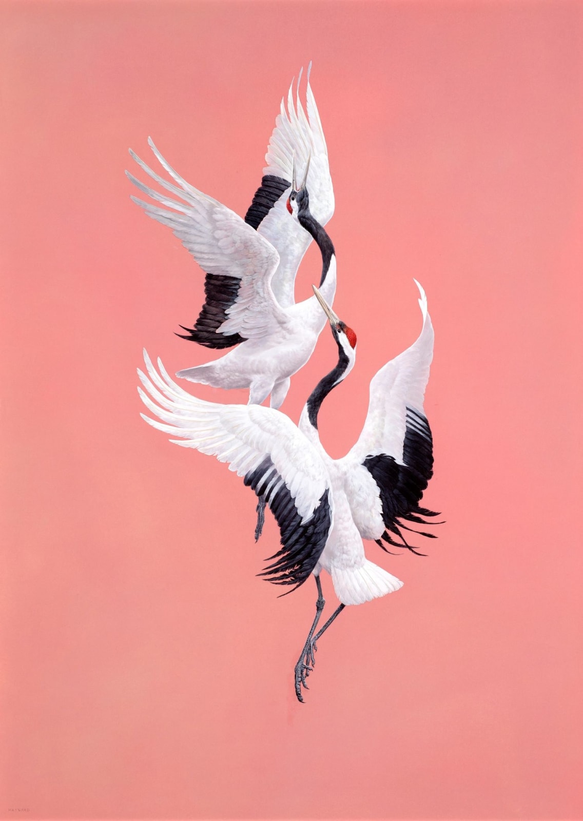 Tim Hayward, Dancing, 2024