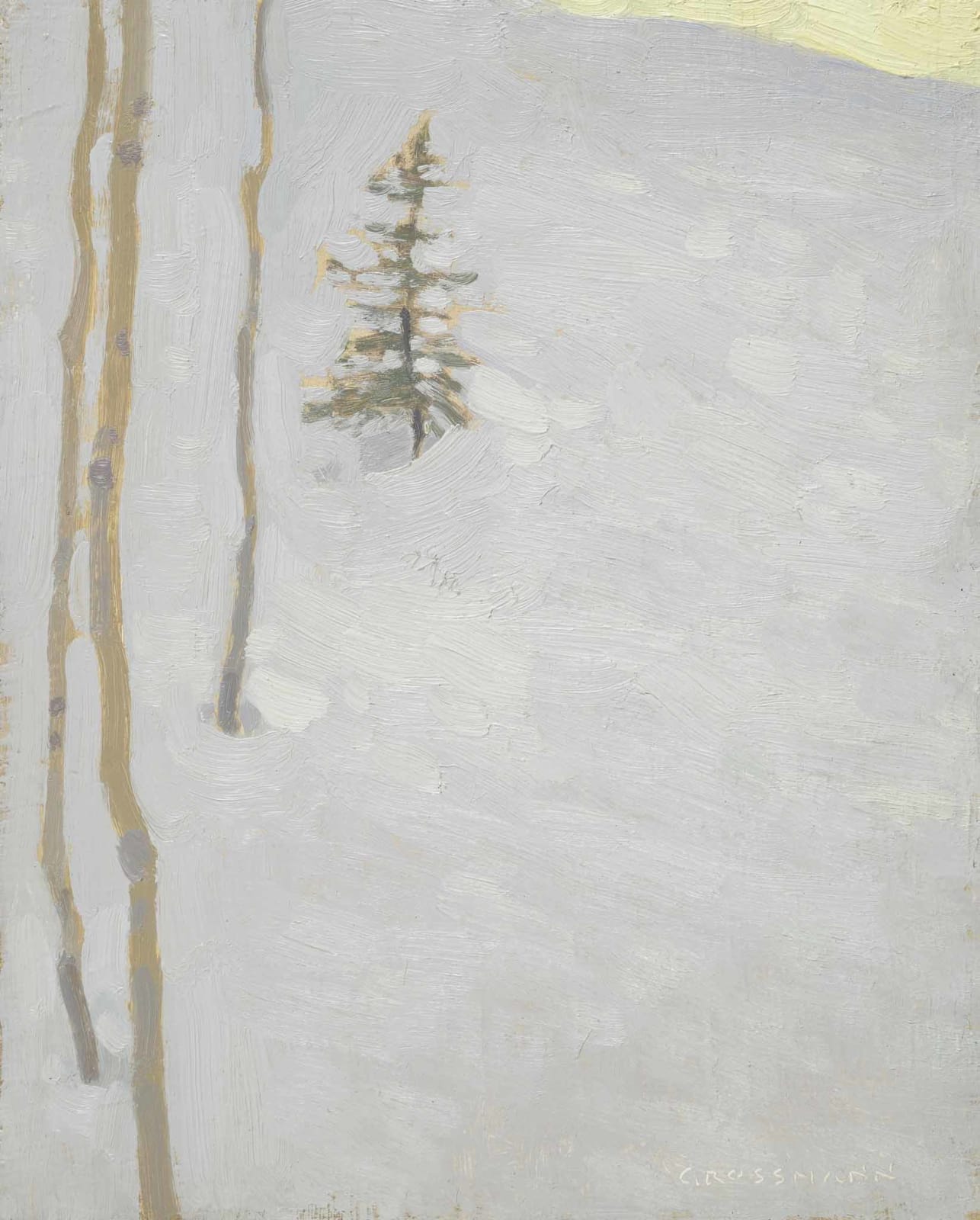 David Grossmann, Forest Snowbank