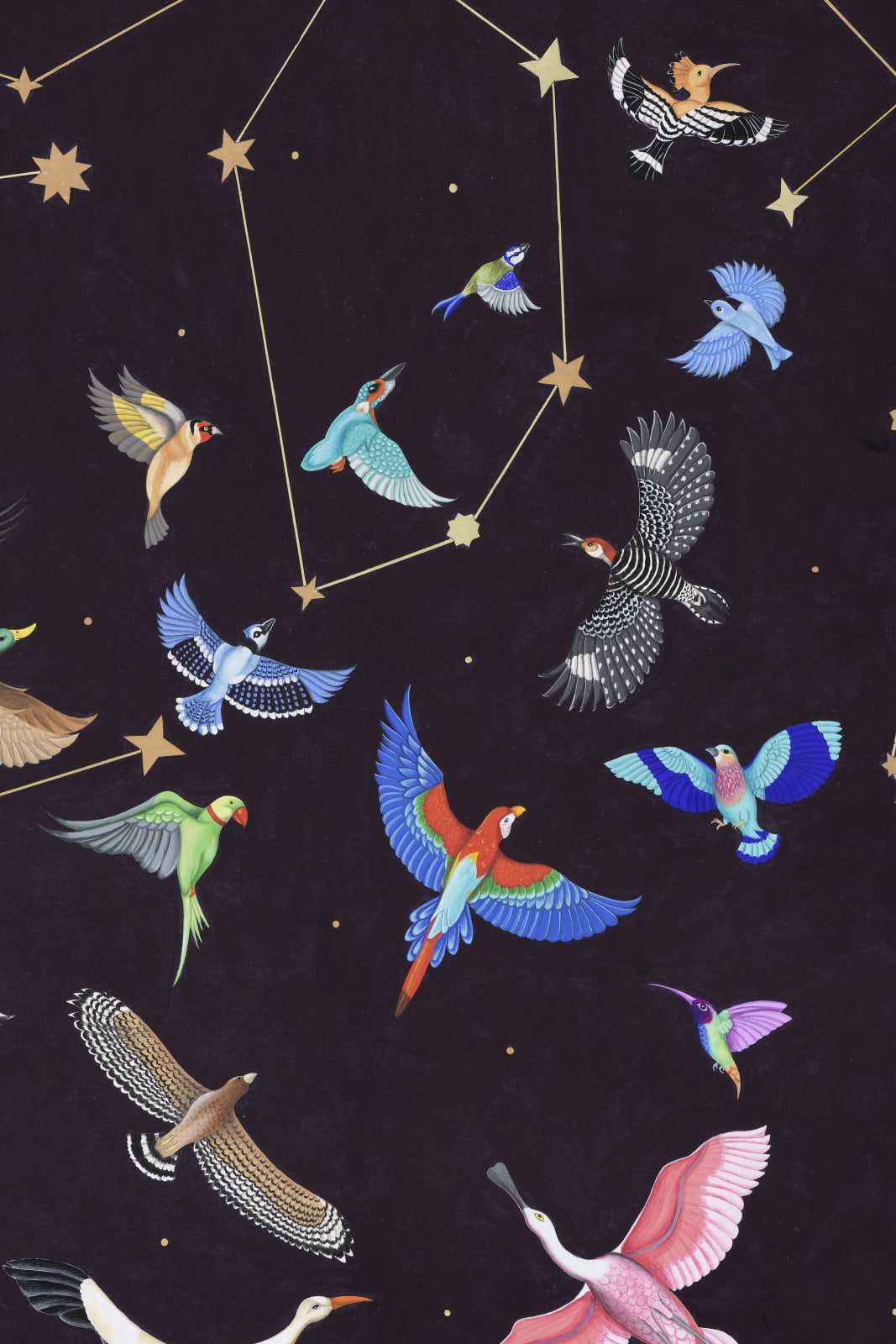 Ayesha Gamiet, Valley of Insight, 2021