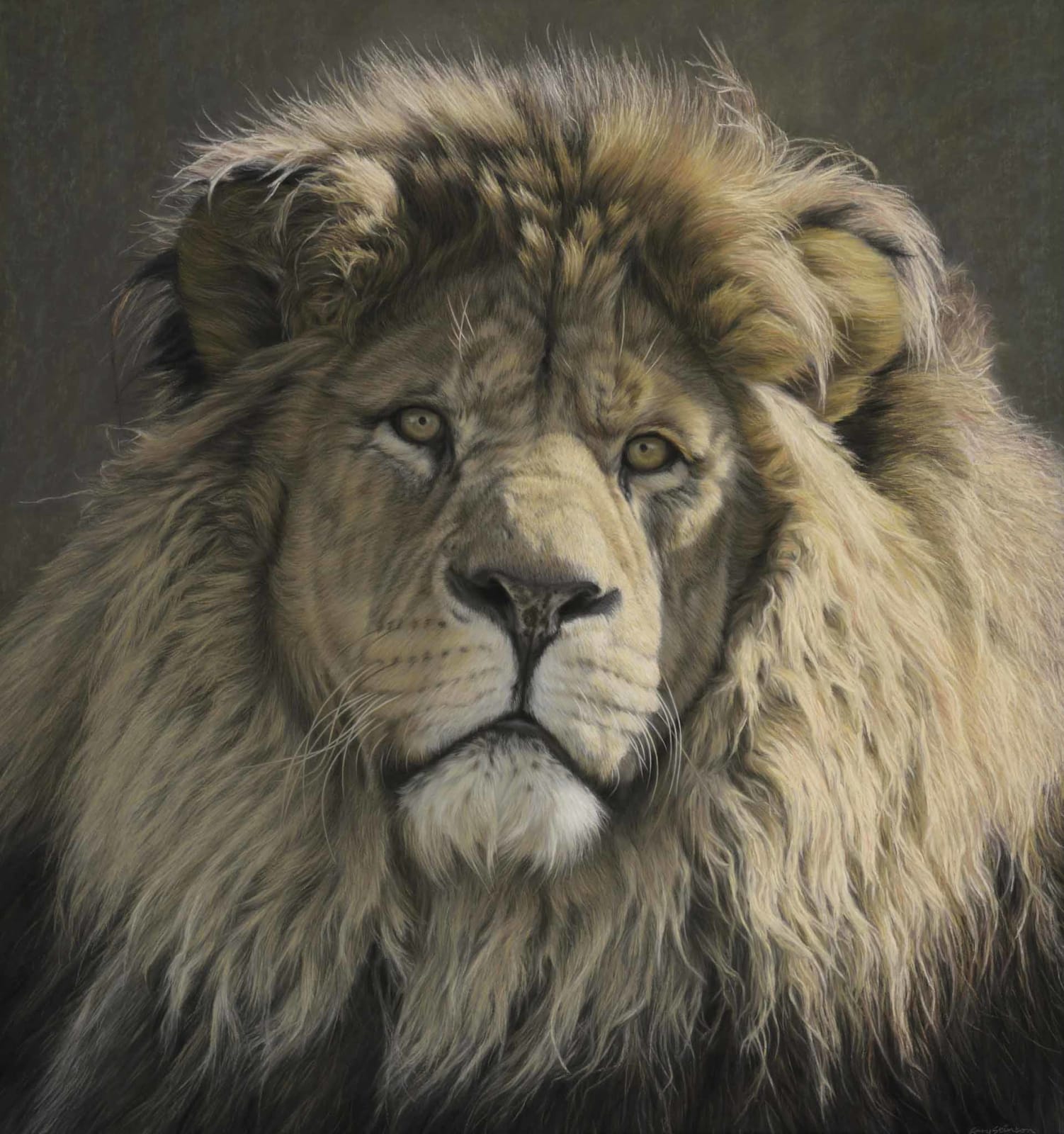 Gary Stinton, Panthera leo