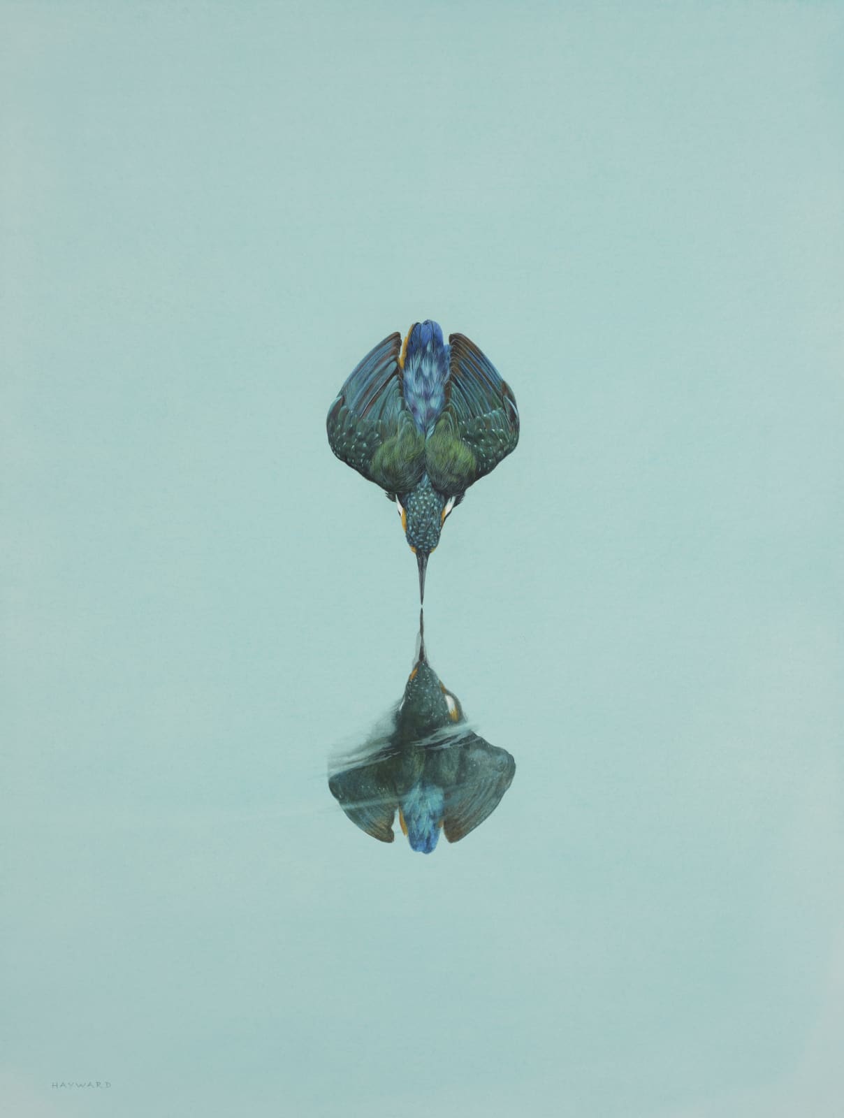 Tim Hayward, Reflection - Turquoise