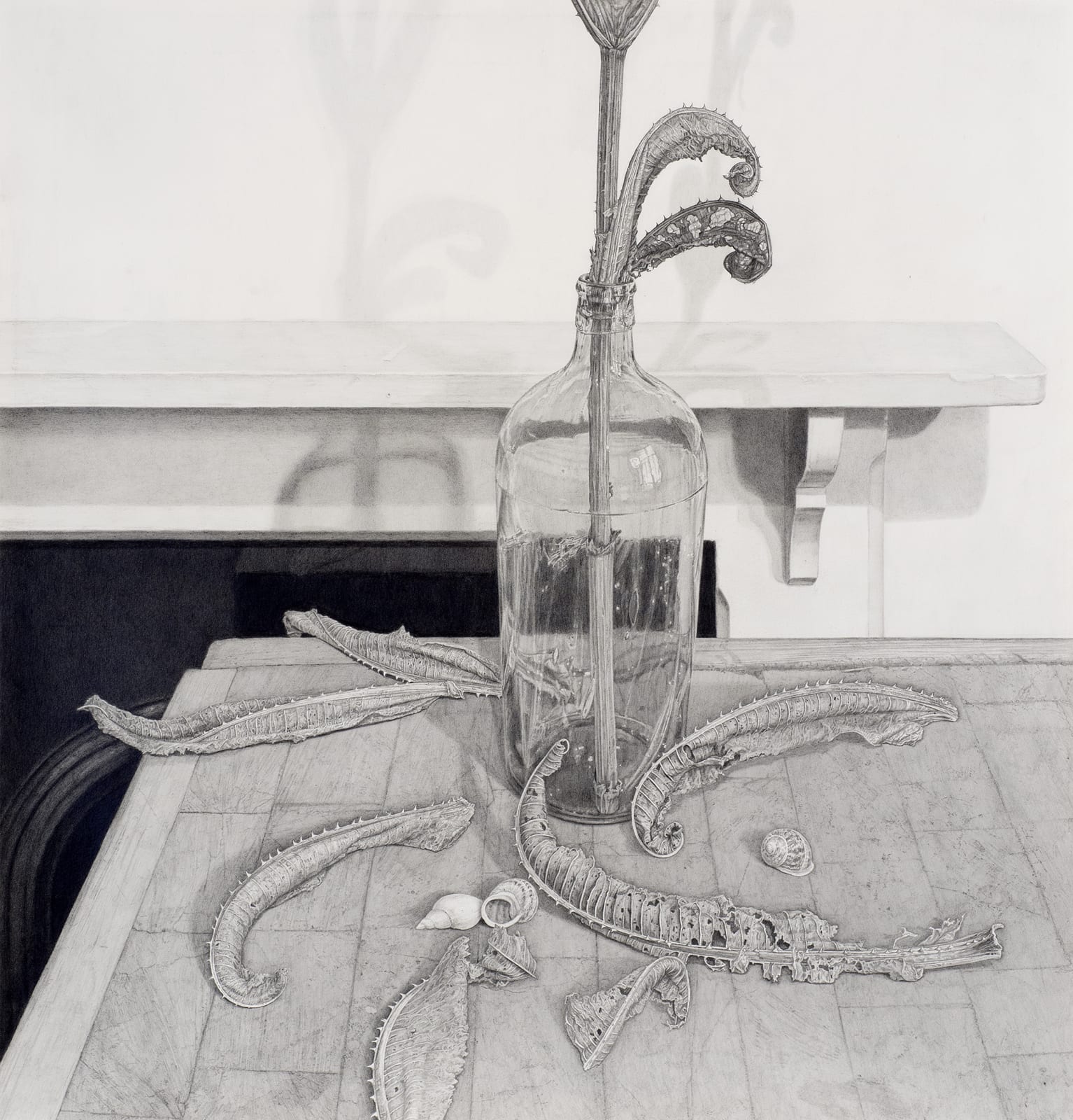 Edmund Chamberlain, Still life with teasel and shells