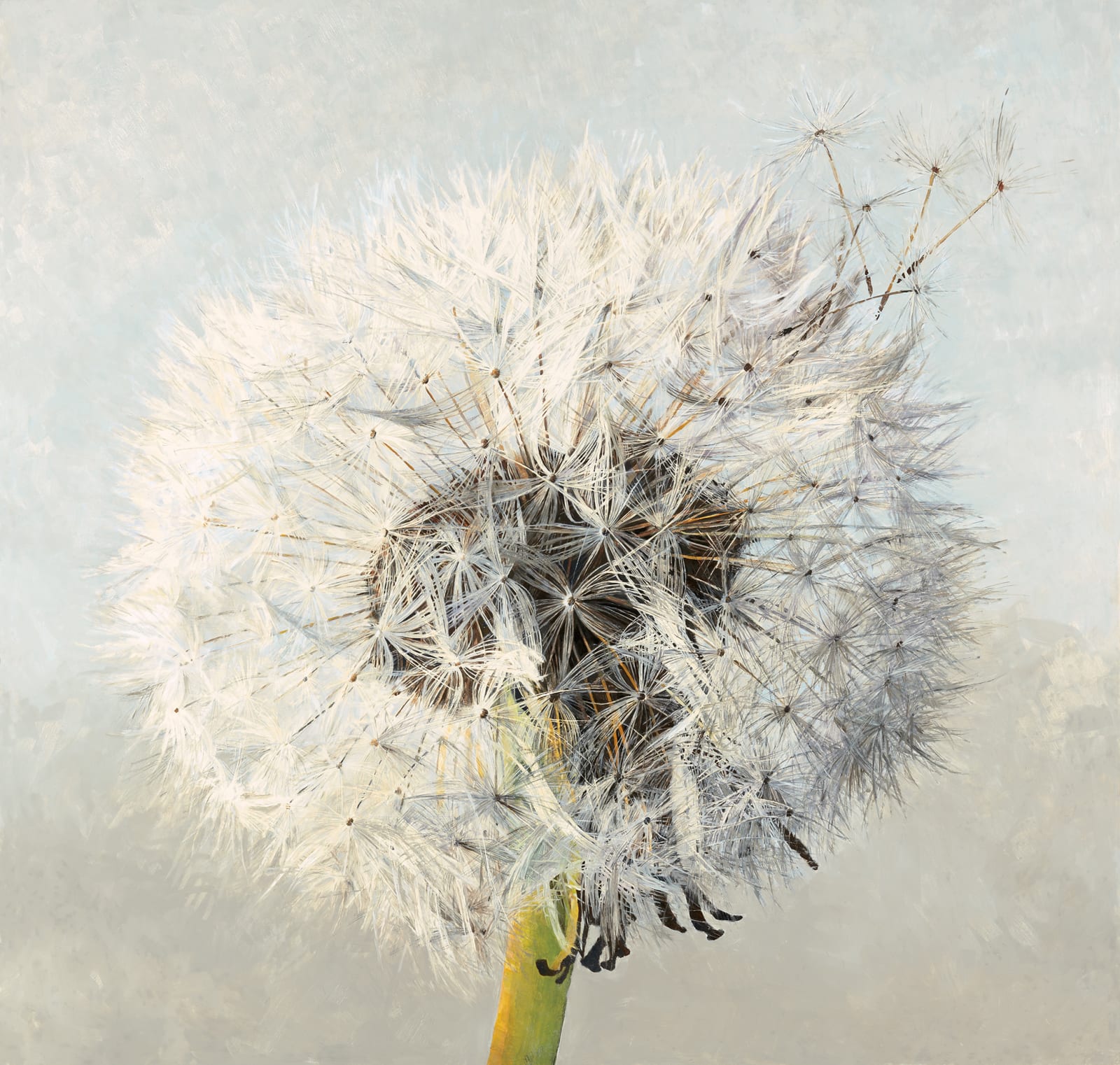 Rosie Sanders, Clock flower, 2021