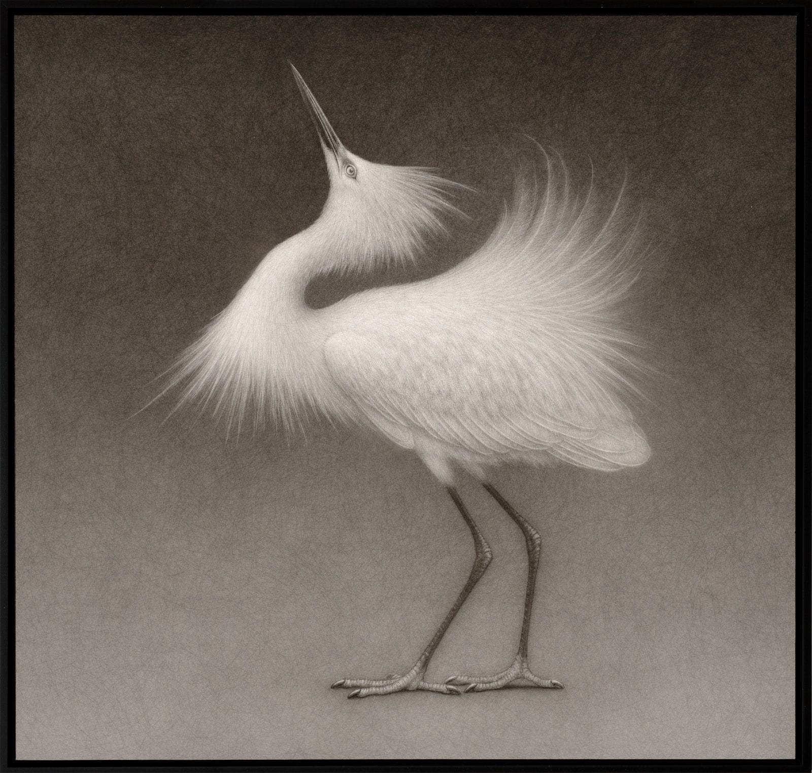 Lee Andre, Snowy Egret IV, 2022