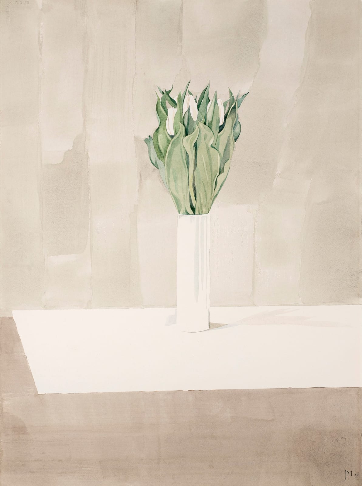 Janet Marsh, White Tulips, 2022