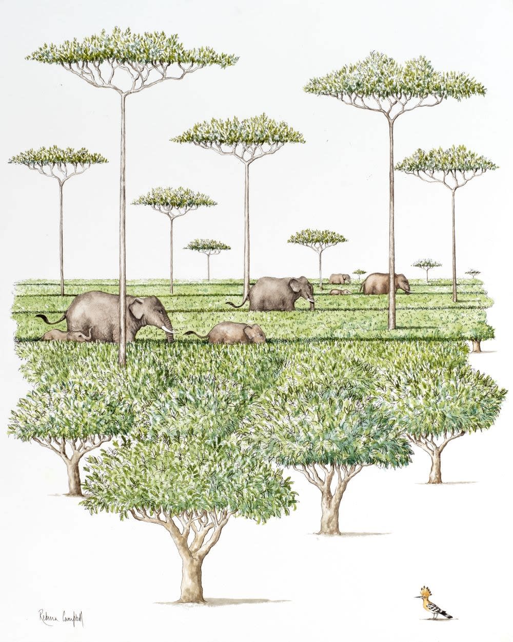 Rebecca Campbell, Tall Trees Creating Shade, Small Shrubs Creating Tea, It’s A Win Win!, 2025