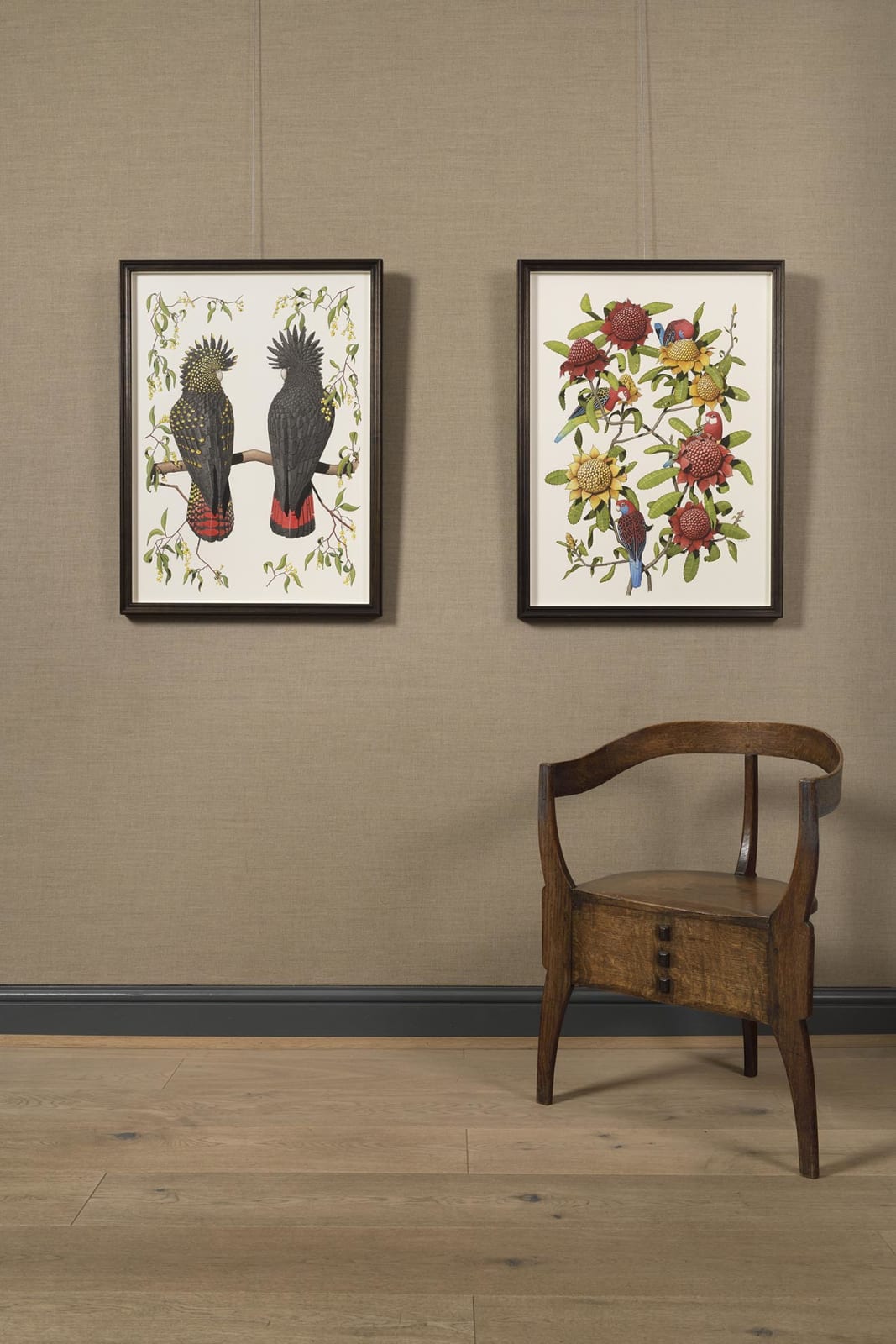 Angus Fisher, Rosellas and Banksias, 2021