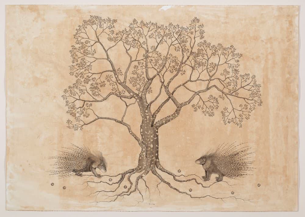 Andrea Collesano, HYSTRIX CRISTATA (Tree with Porcupine) , 2025