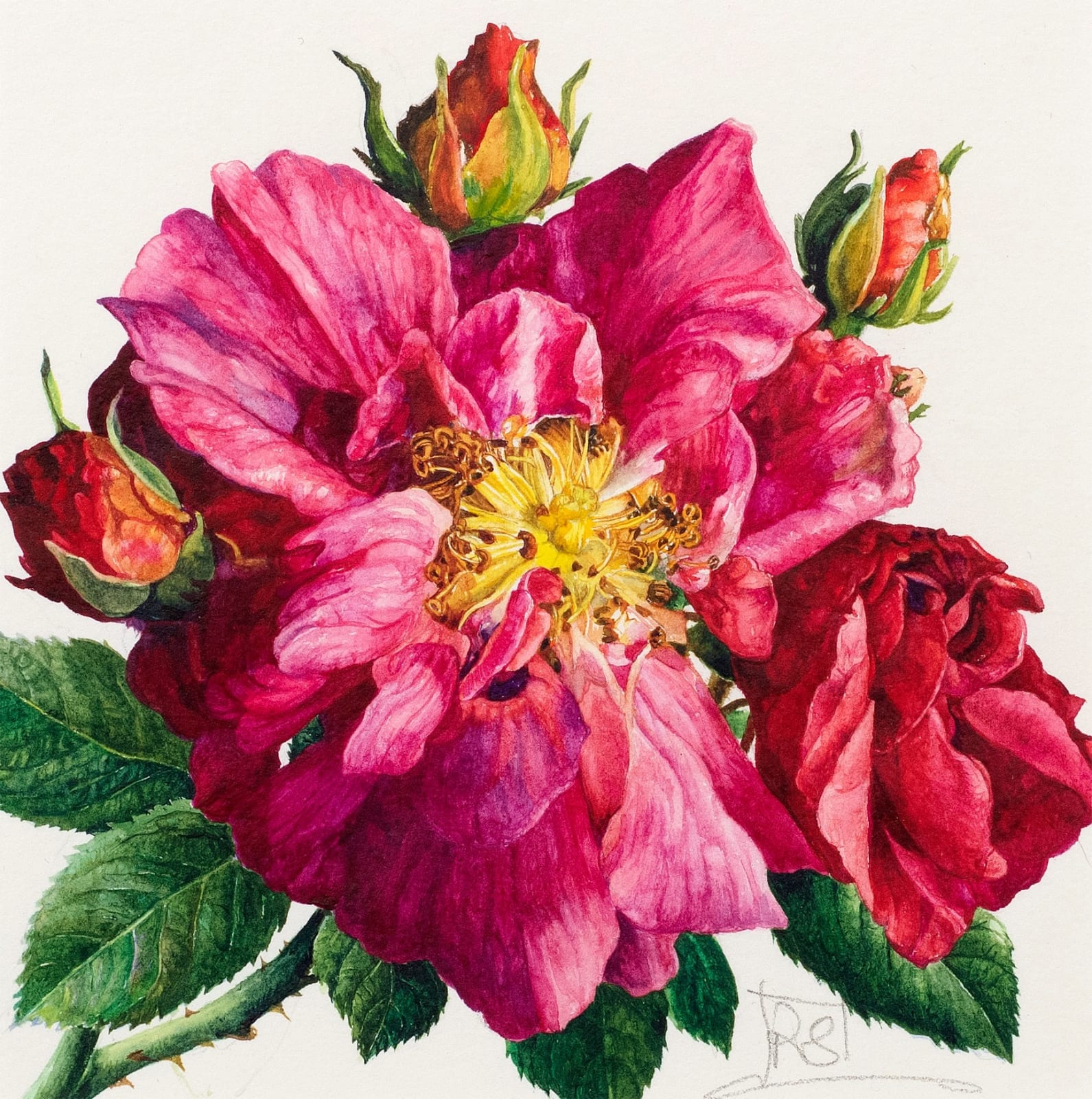 Rosie Sanders, A Sweet Posterity, 2022