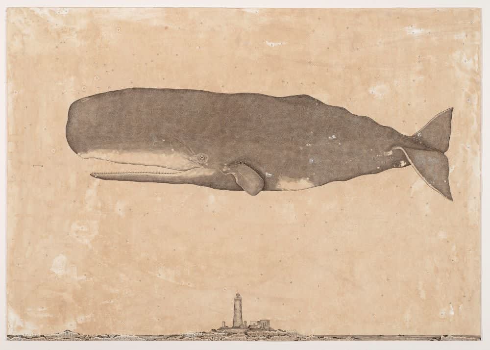 Andrea Collesano, PHYSETER MACROCEPHALUS ( Whale ), 2025