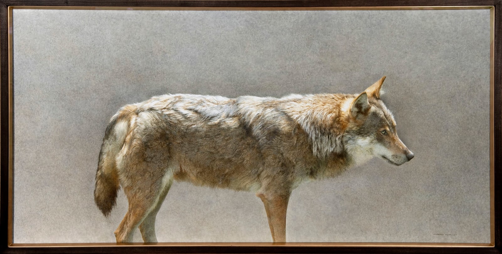 Marzio Tamer, Wolf, 2024