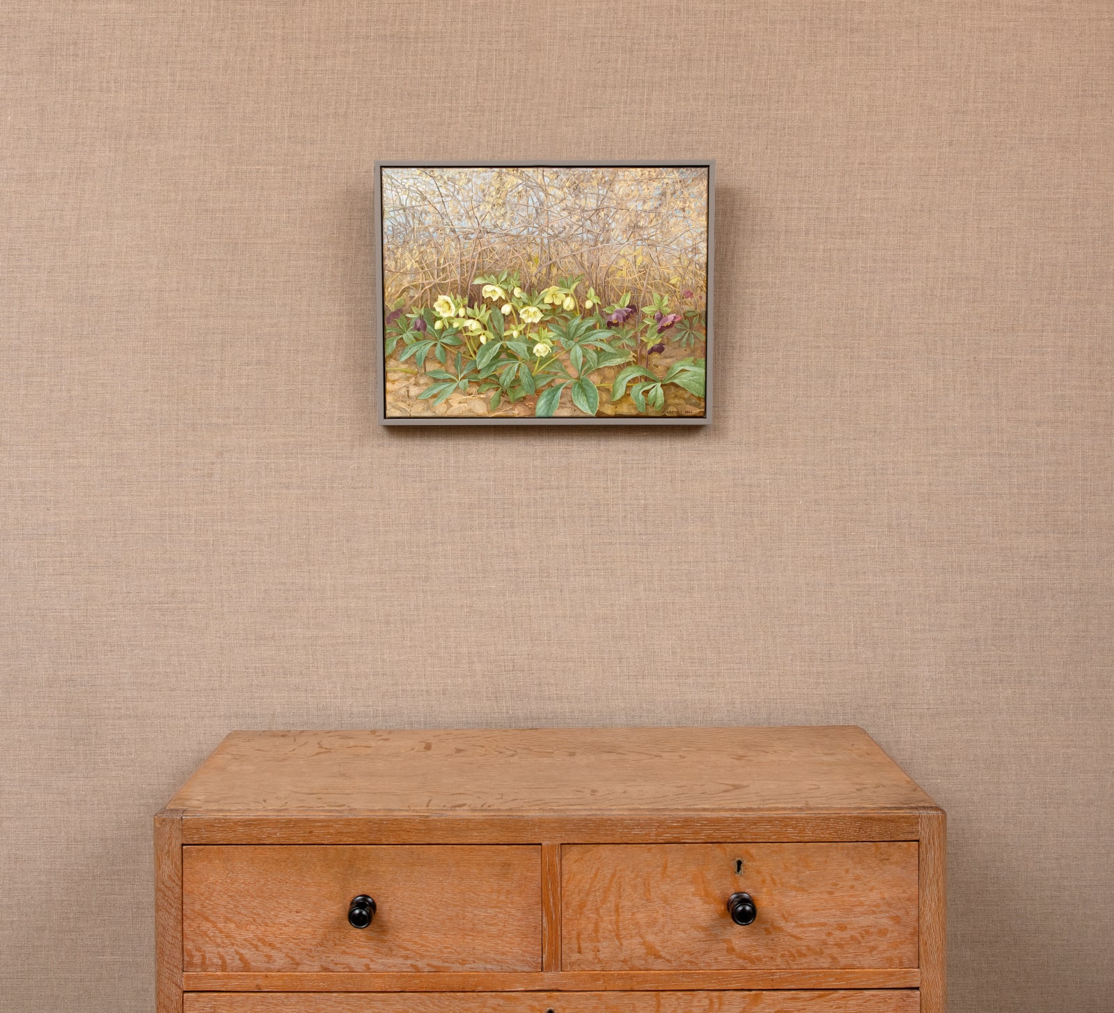 Jane Wormell, Hellebores under Winter Hedge