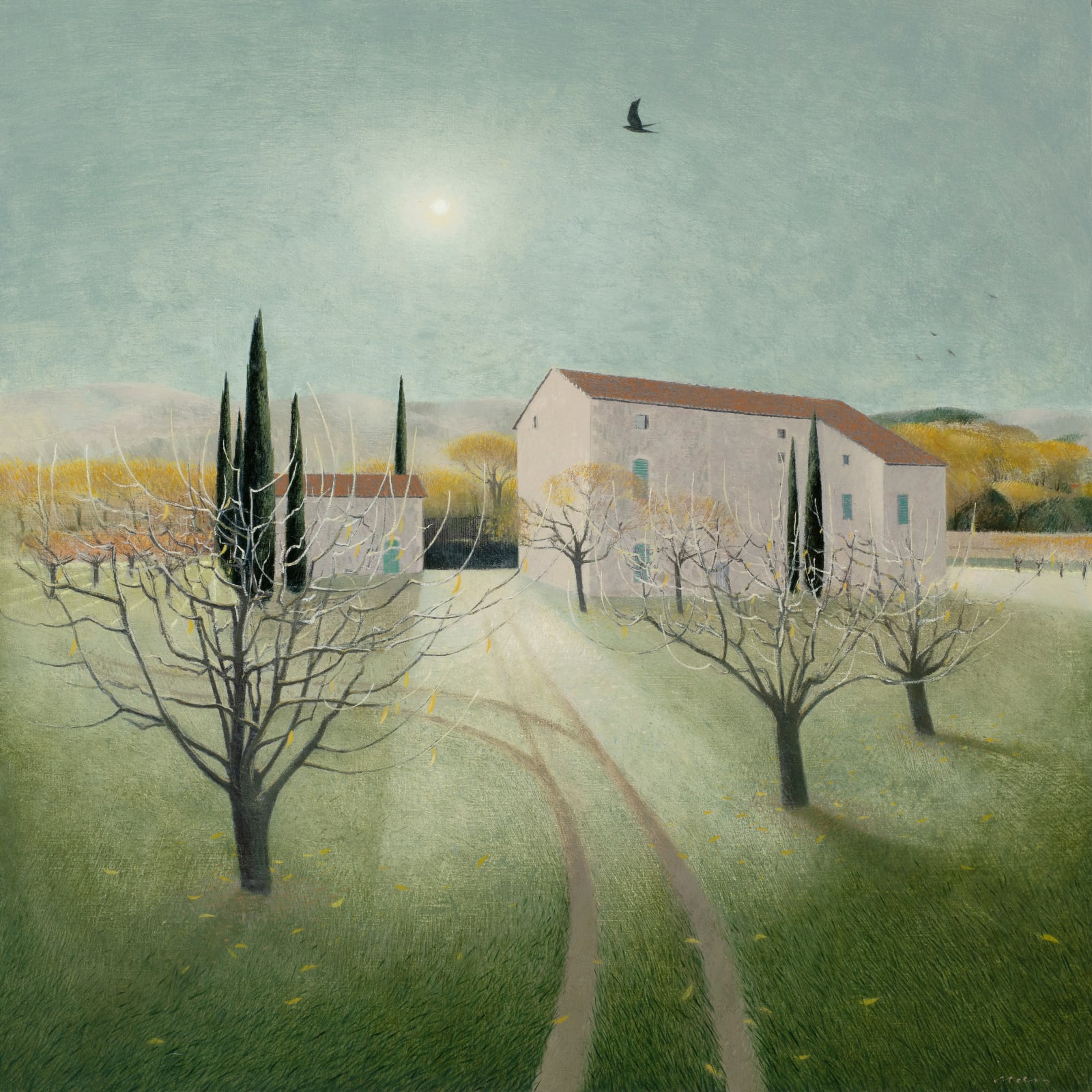 Tom Mabon, While Daylight lasts. Lacoste, 2023