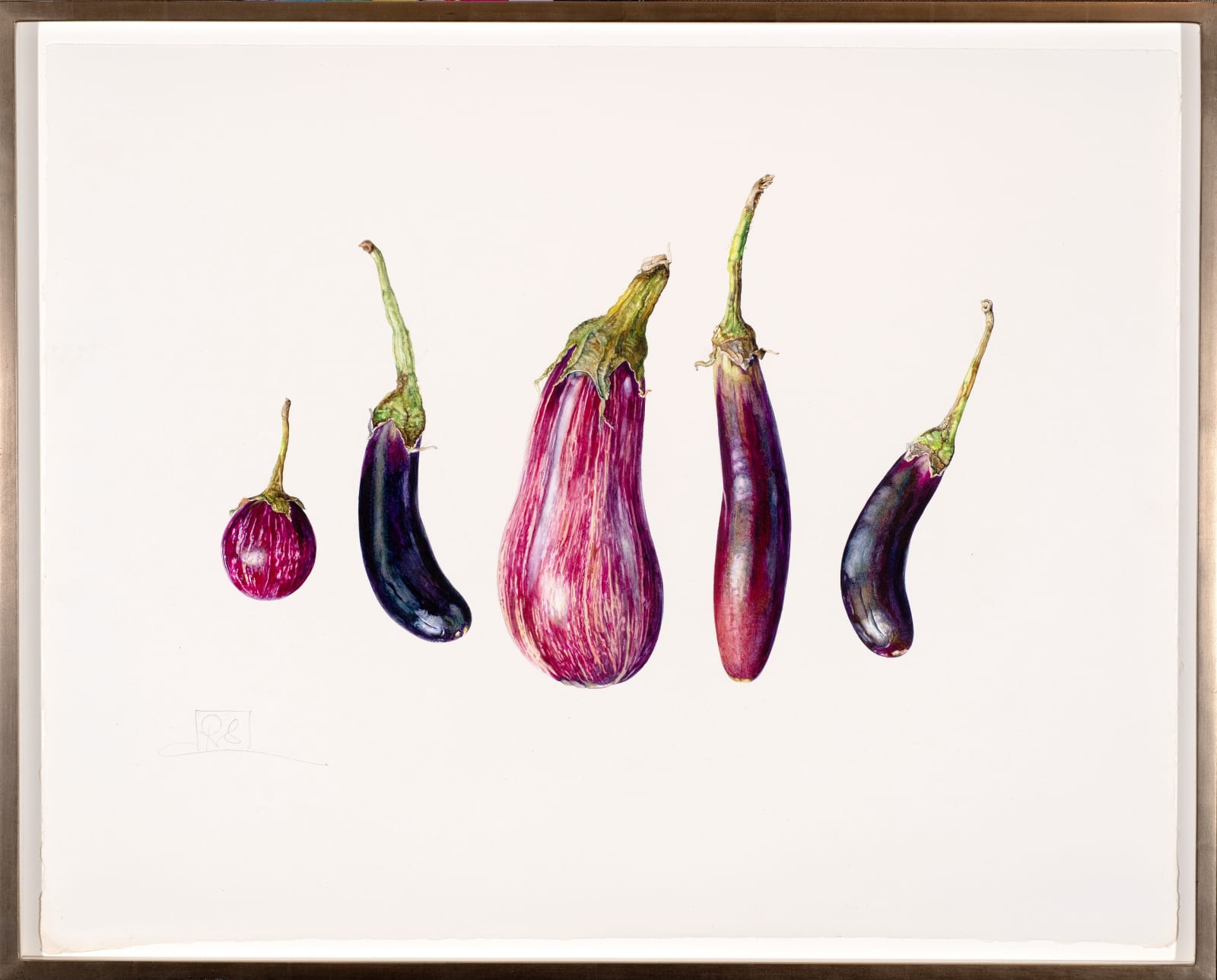 Rosie Sanders, Aubergines, 2022