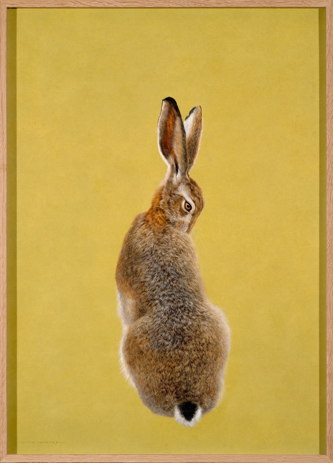 Tim Hayward, Browne Hare - Chartreuse , 2022