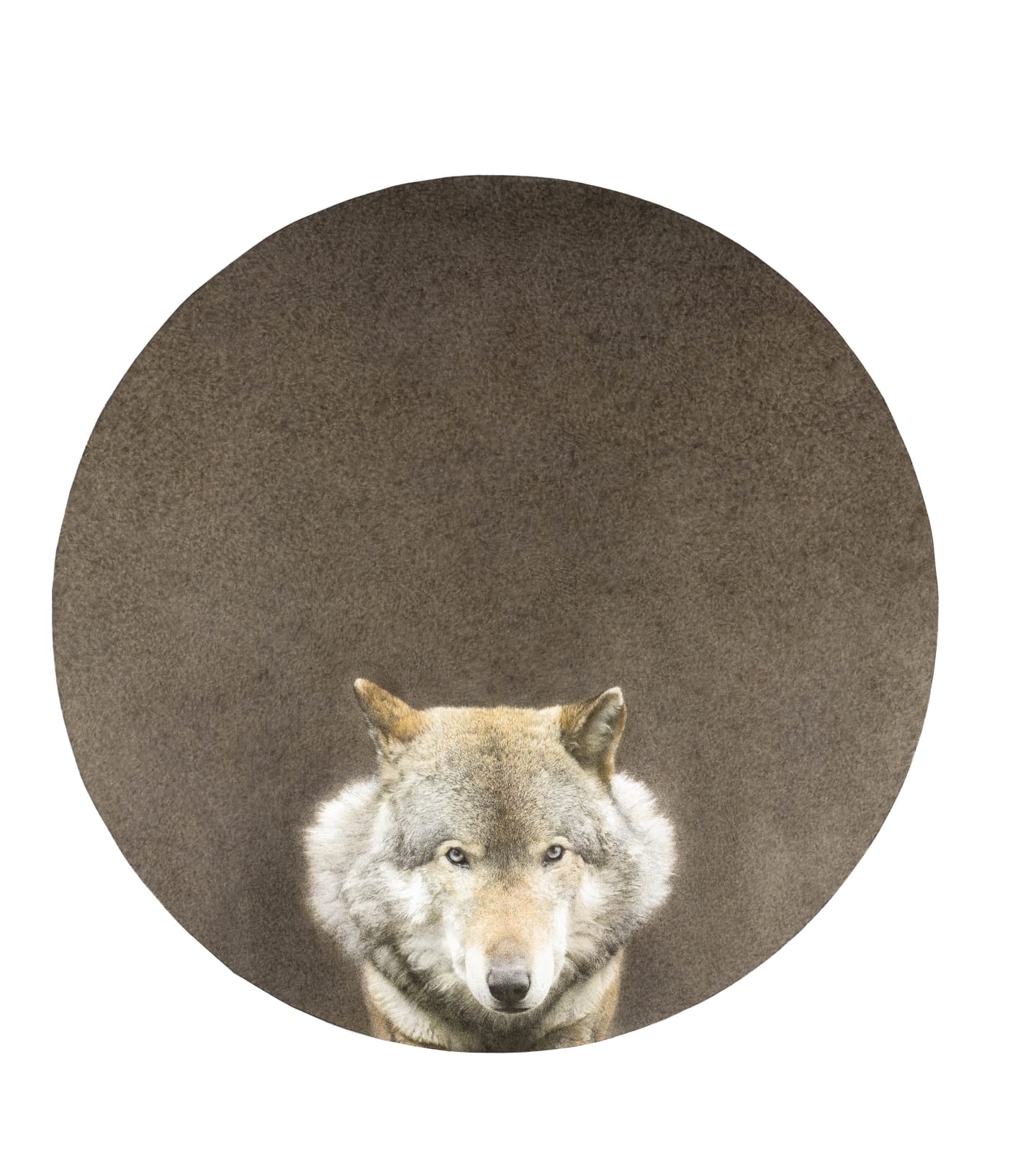 Marzio Tamer, Wolf, 2021