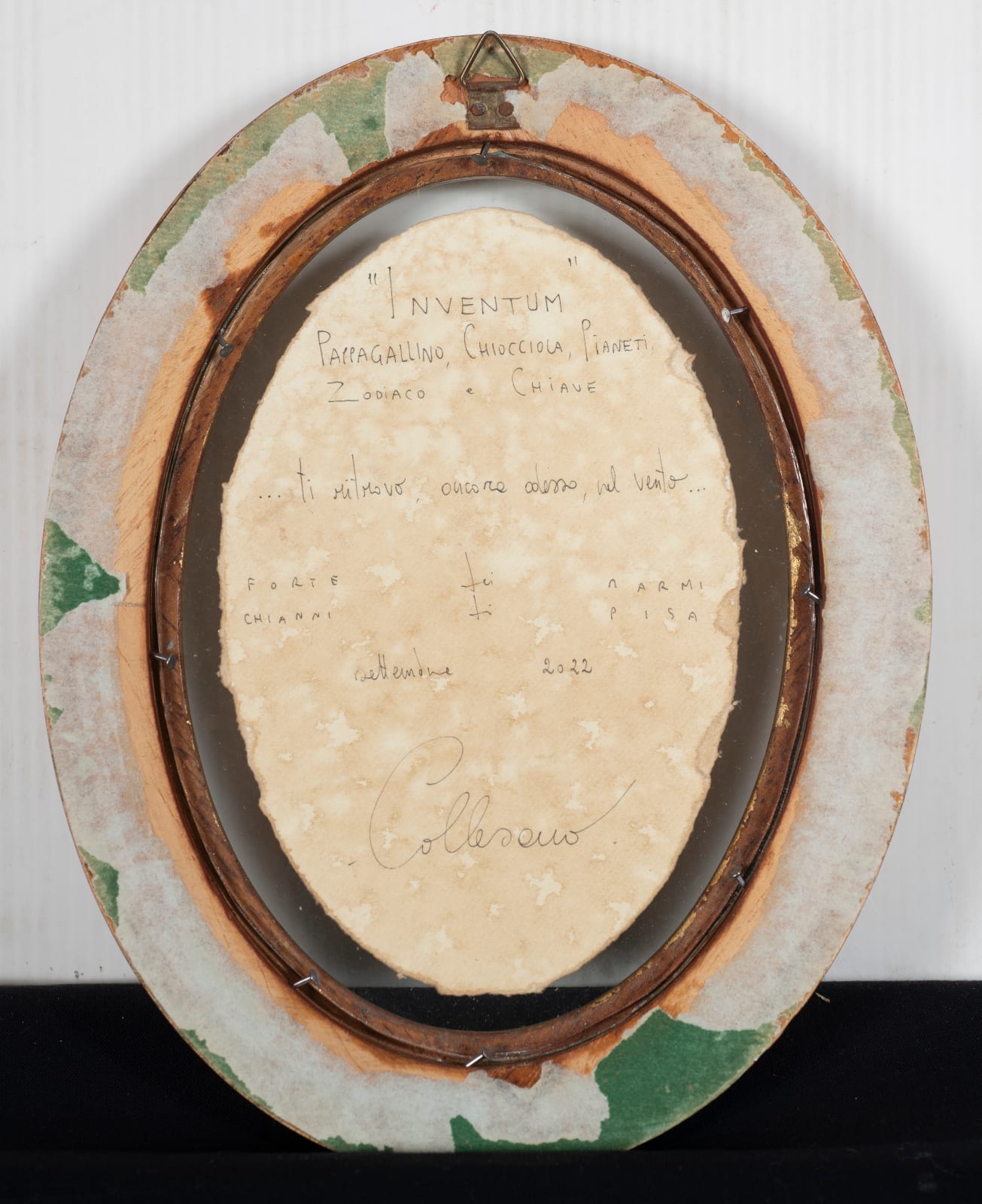 Andrea Collesano, INVENTUM ( PARROT ) , 2022