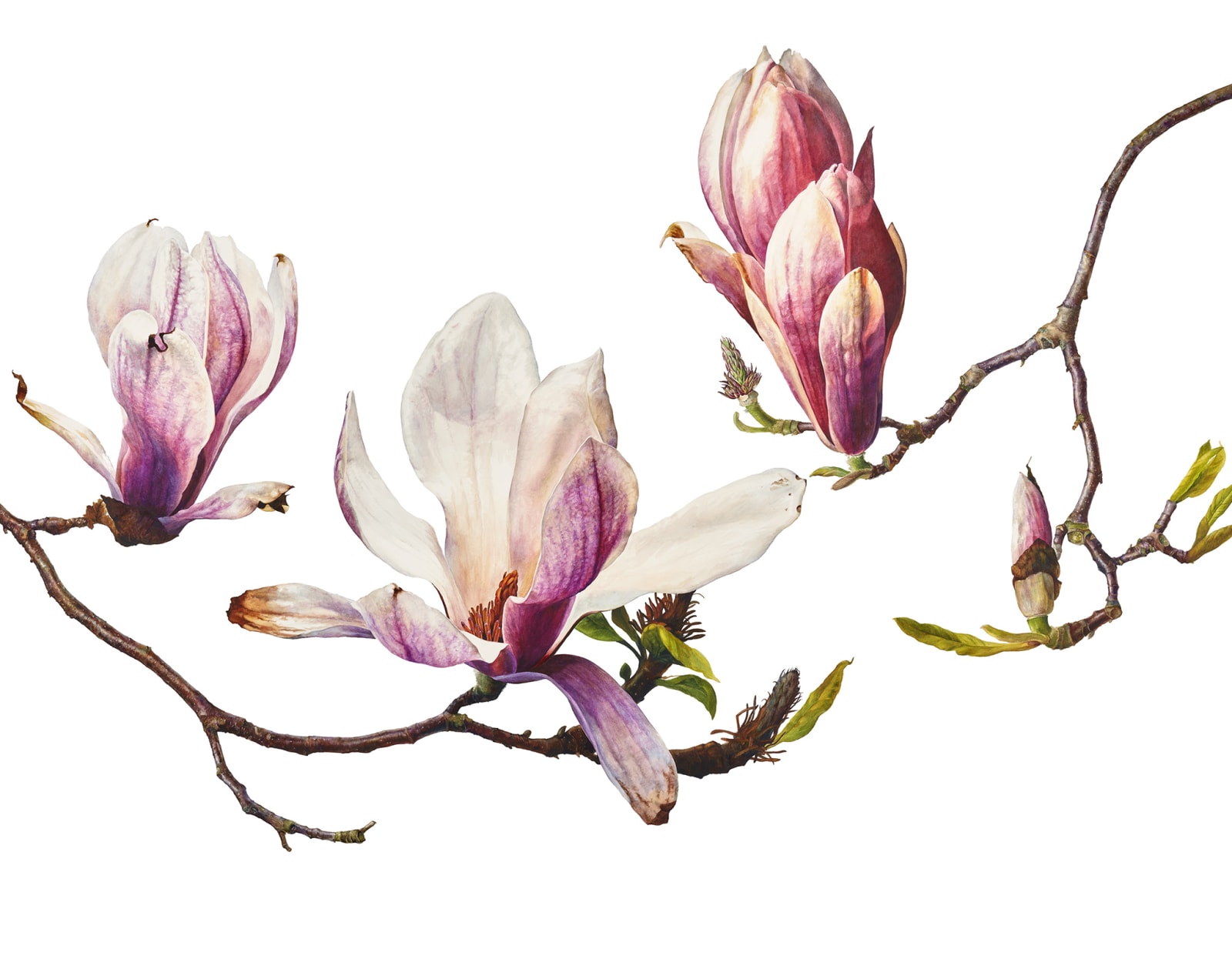 Rosie Sanders, Now that April's here